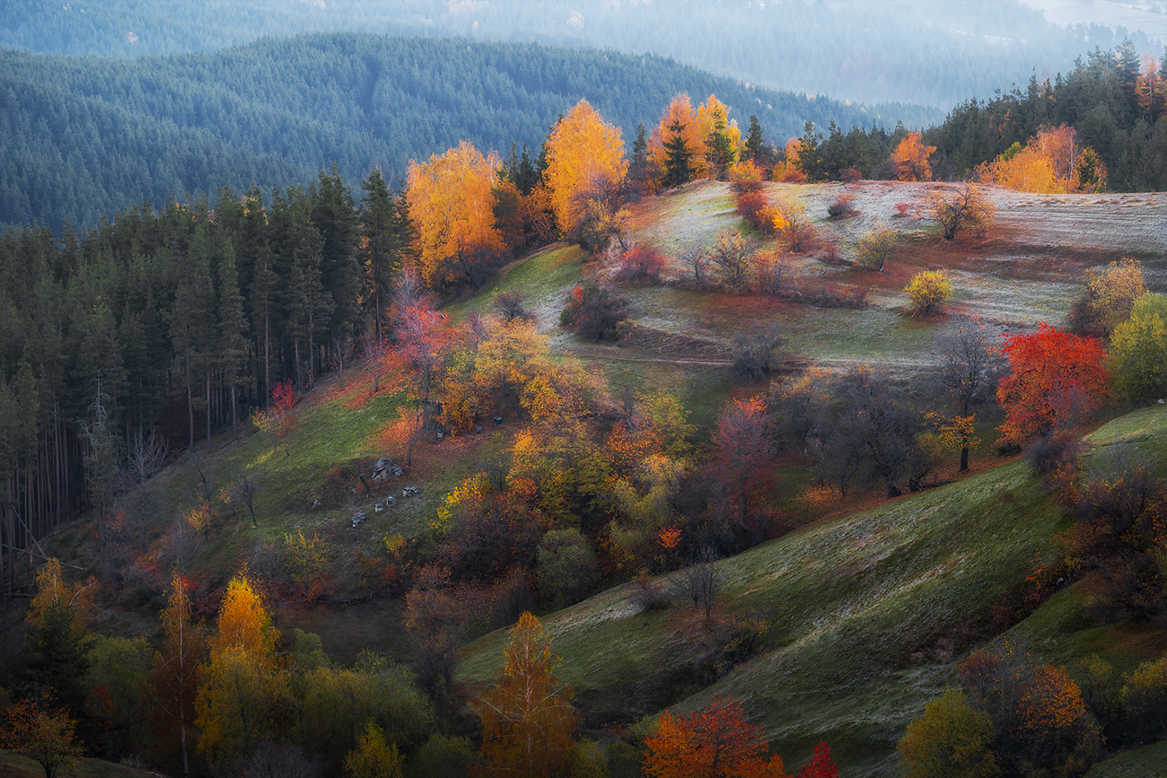 landscape, nature, scenery, forest, wood, trees, oldhouses, village, autumn, fall, colors, mountain, rodopi, bulgaria, лес, Александров Александър