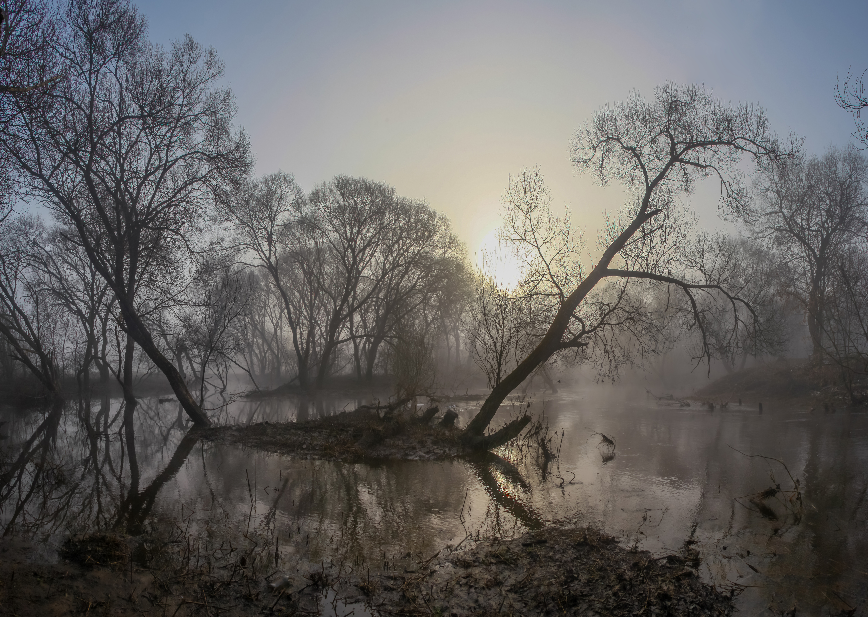 весна, река, Александр Свистков