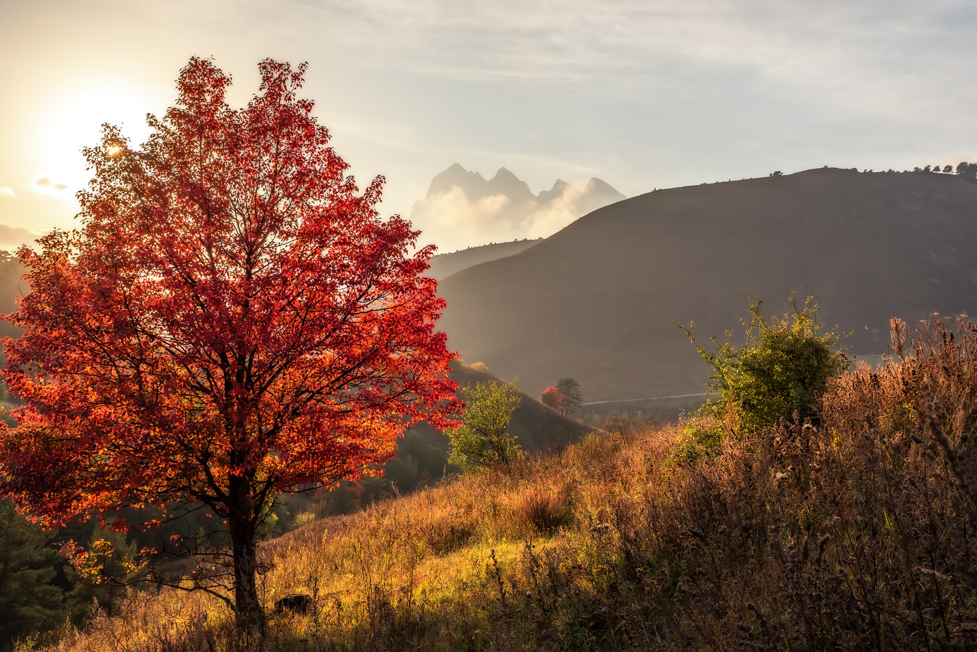 горы, кавказ, осень, ингушетия, Zakharov Armen