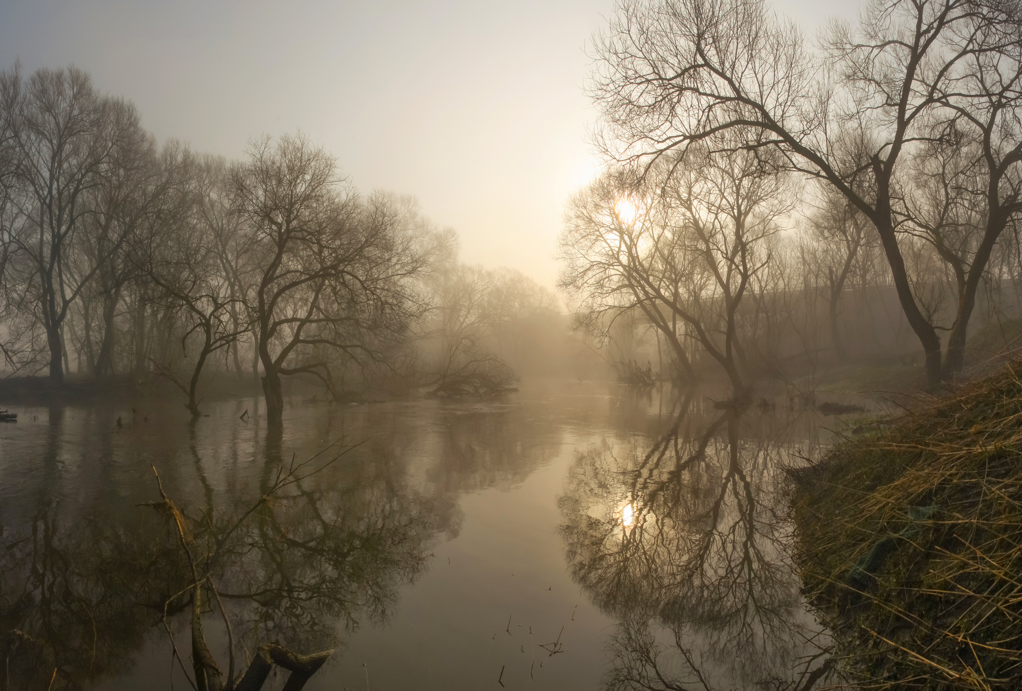 весна, река, туман, Александр Свистков