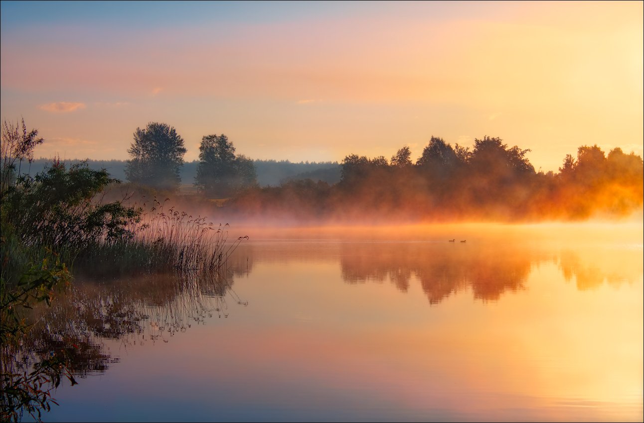 река волма, туман, утро, Сергей Шабуневич