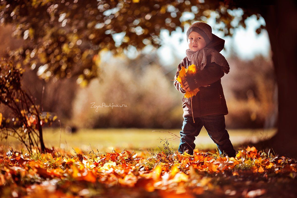 осень, мальчик, дети, листья, Зоя Павкина