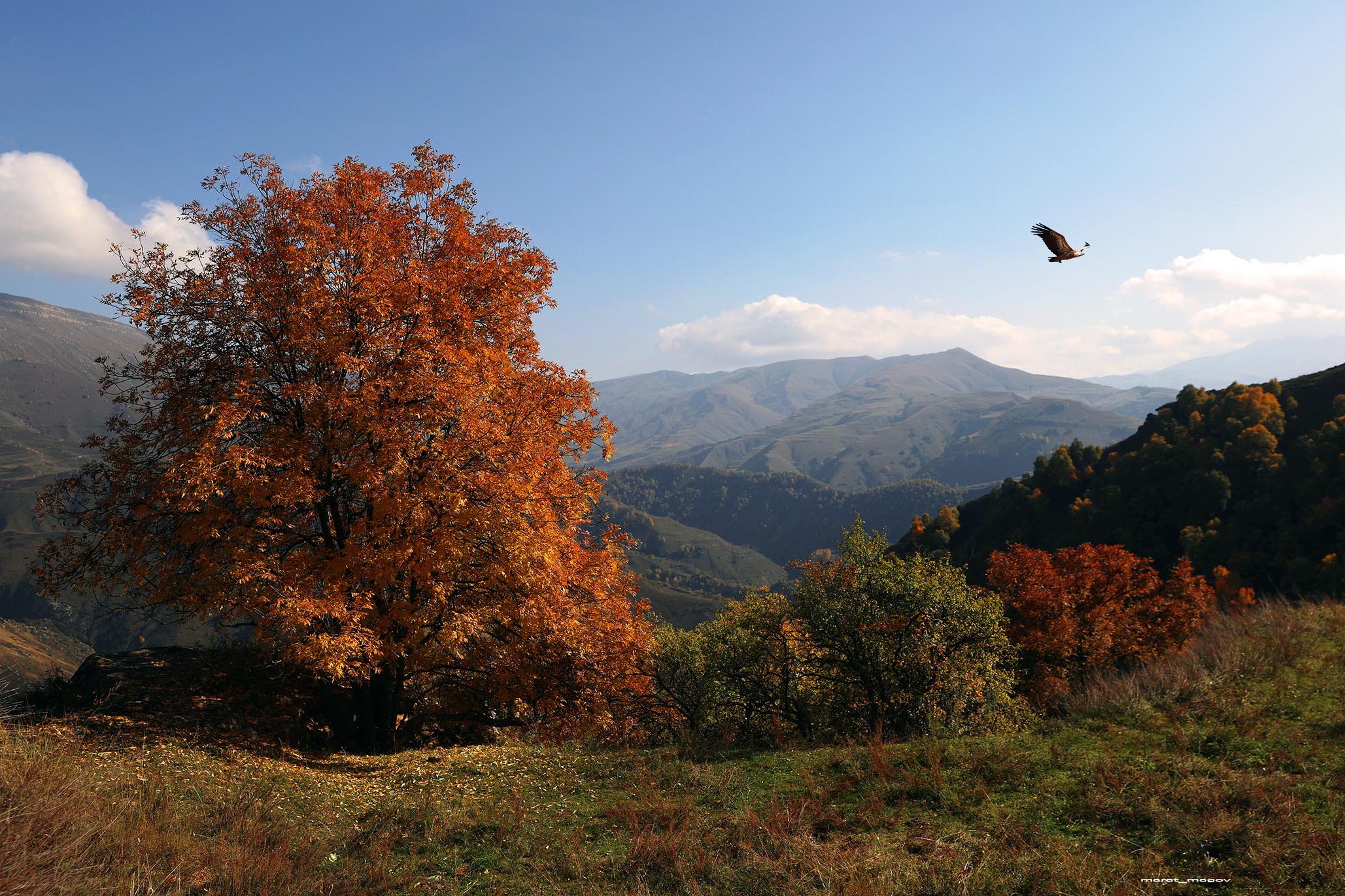 осень,гунибский район,горы,дагестан,пейзаж,, Magov Marat