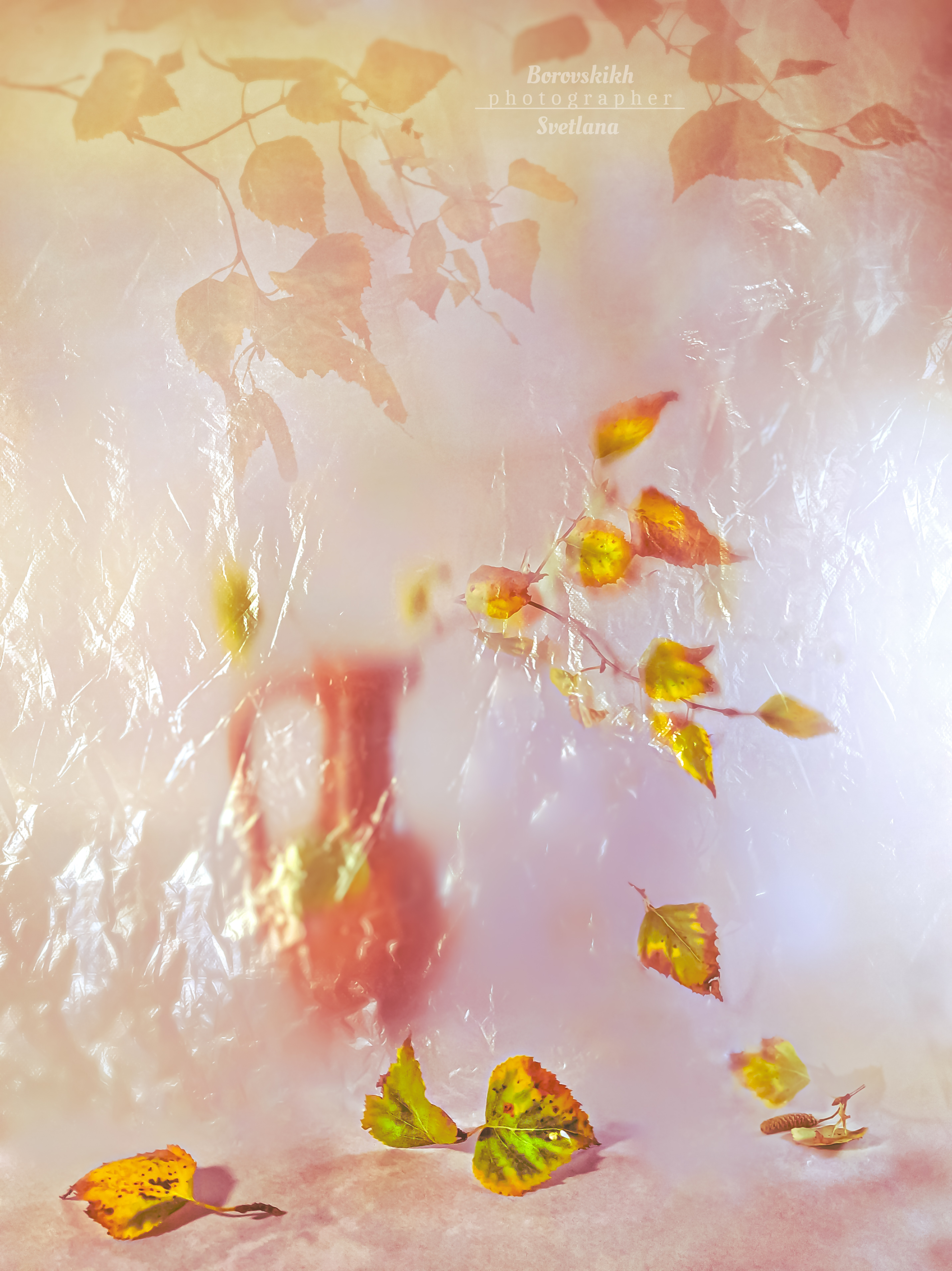 ваза, букет, осень, плёнка, осенний лист, жёлтый, тепло, Светлана Боровских