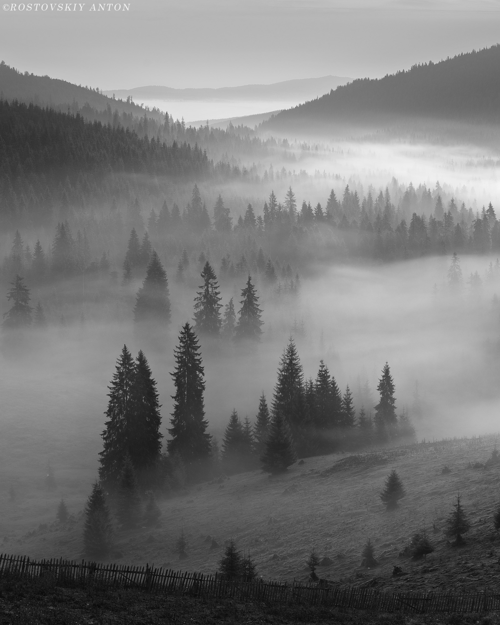 туман, утро, горы, фототур, Румыния, Антон Ростовский