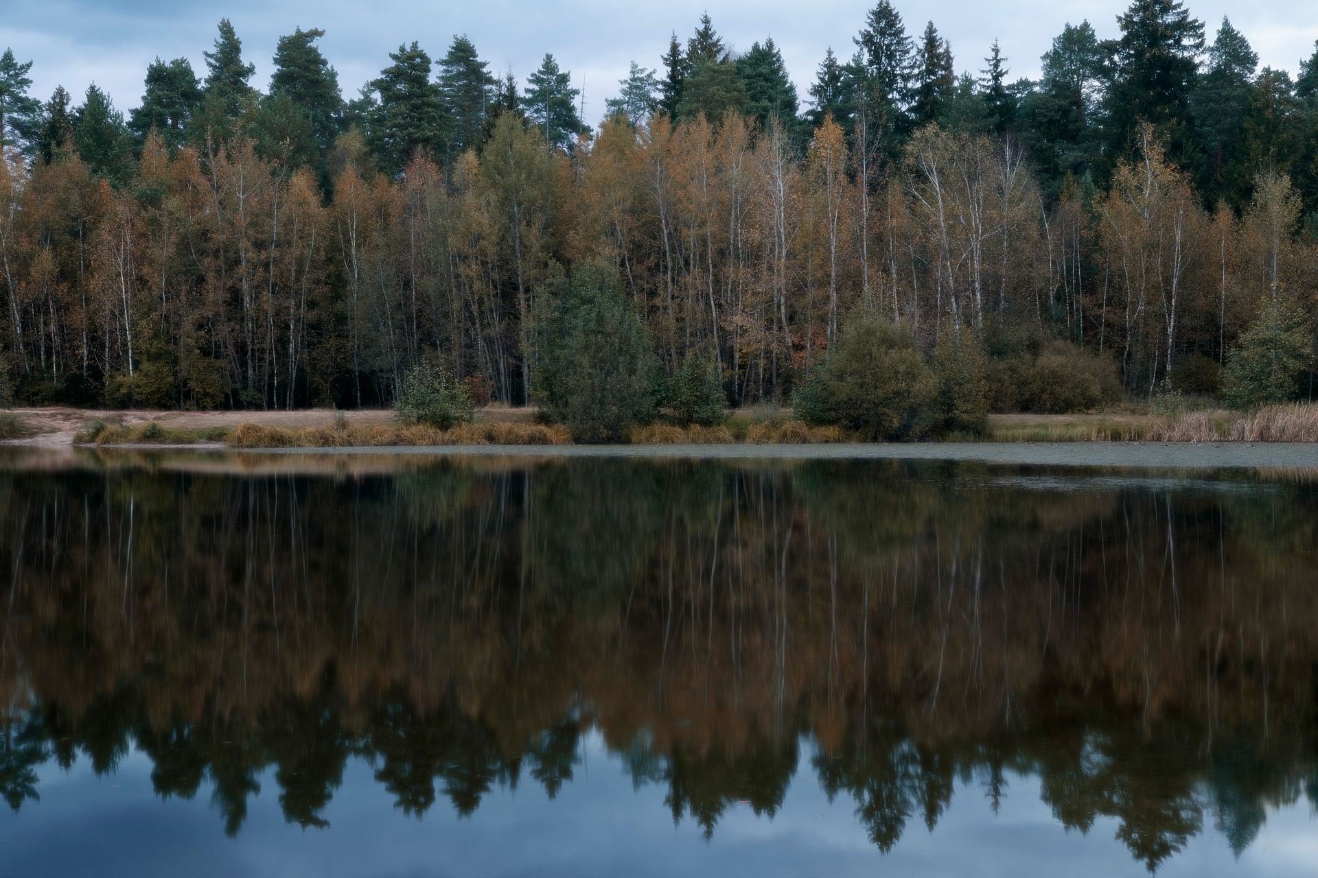 озеро, лес, отражения, Валерий Вождаев