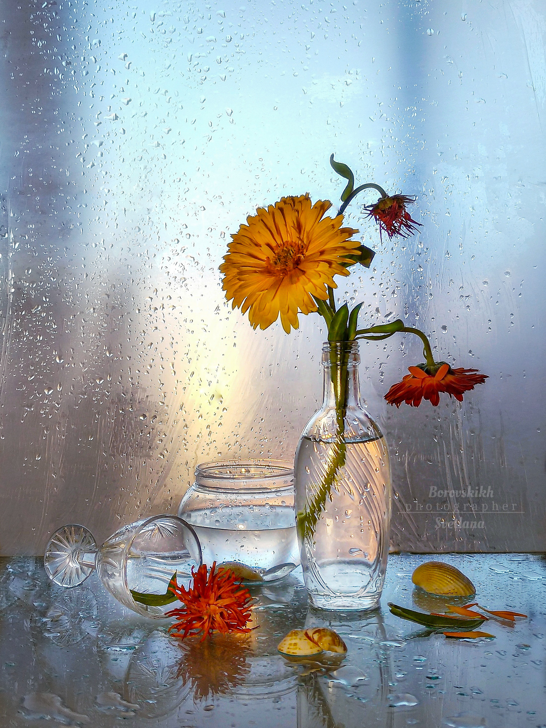 цветы, стекло, плёнка, миниатюра, закат, Светлана Боровских