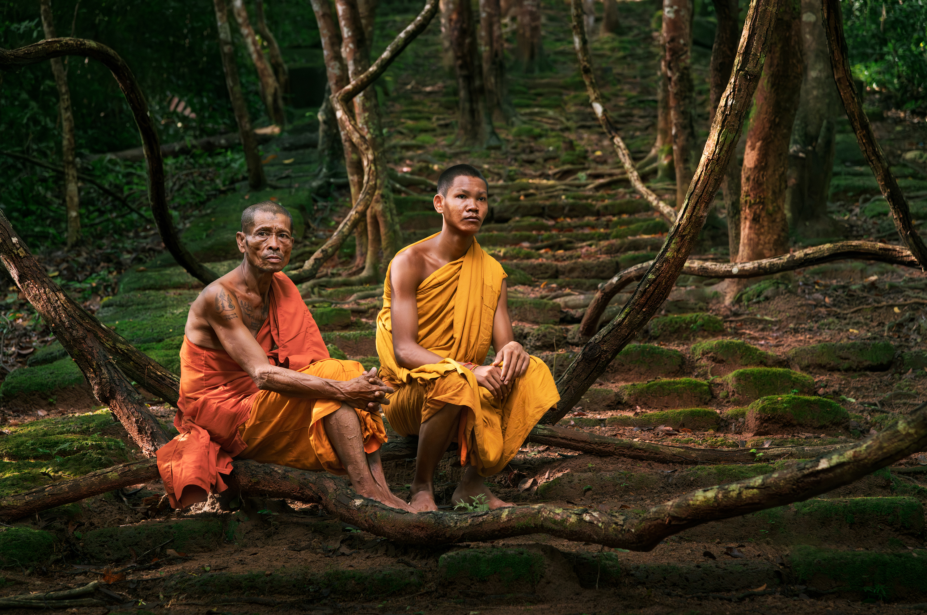 камбоджа, монах, монахи, буддизм, буддистский, азия, джунгли, ангкор, ангкор ват, сием рип, cambodia, asia, monk, monks, jungle, angkor, angkor wat, siem reap, Эрнест Вахеди