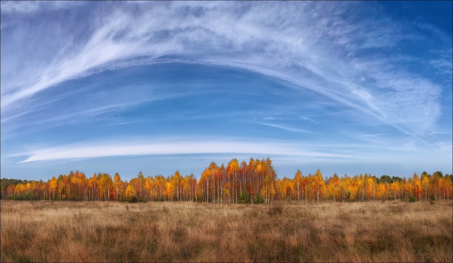 Осень в небе. Осеннее небо. Небо осенью. Осень небо. Голубое осеннее небо.