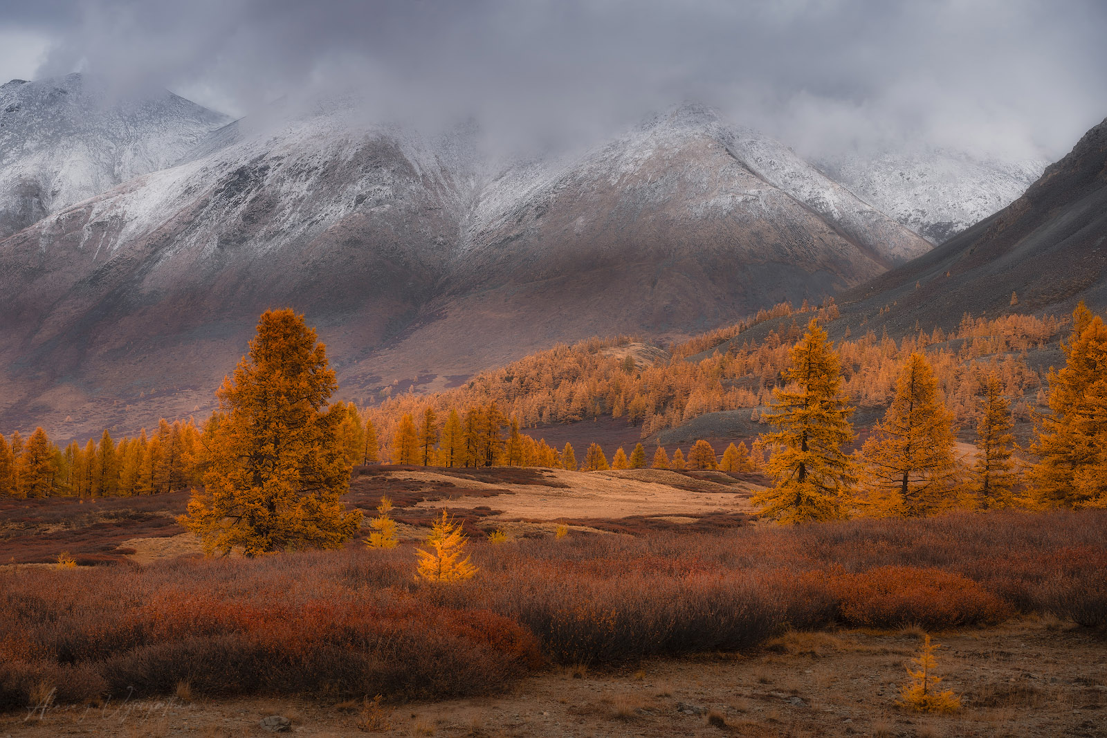 altay, autumn, red, yellow, landscape, mountains, landscape, outdoor, mood, Алексей Вымятнин