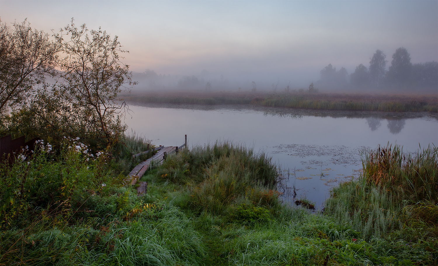 утро, туман, озеро, Наталия Колтакова
