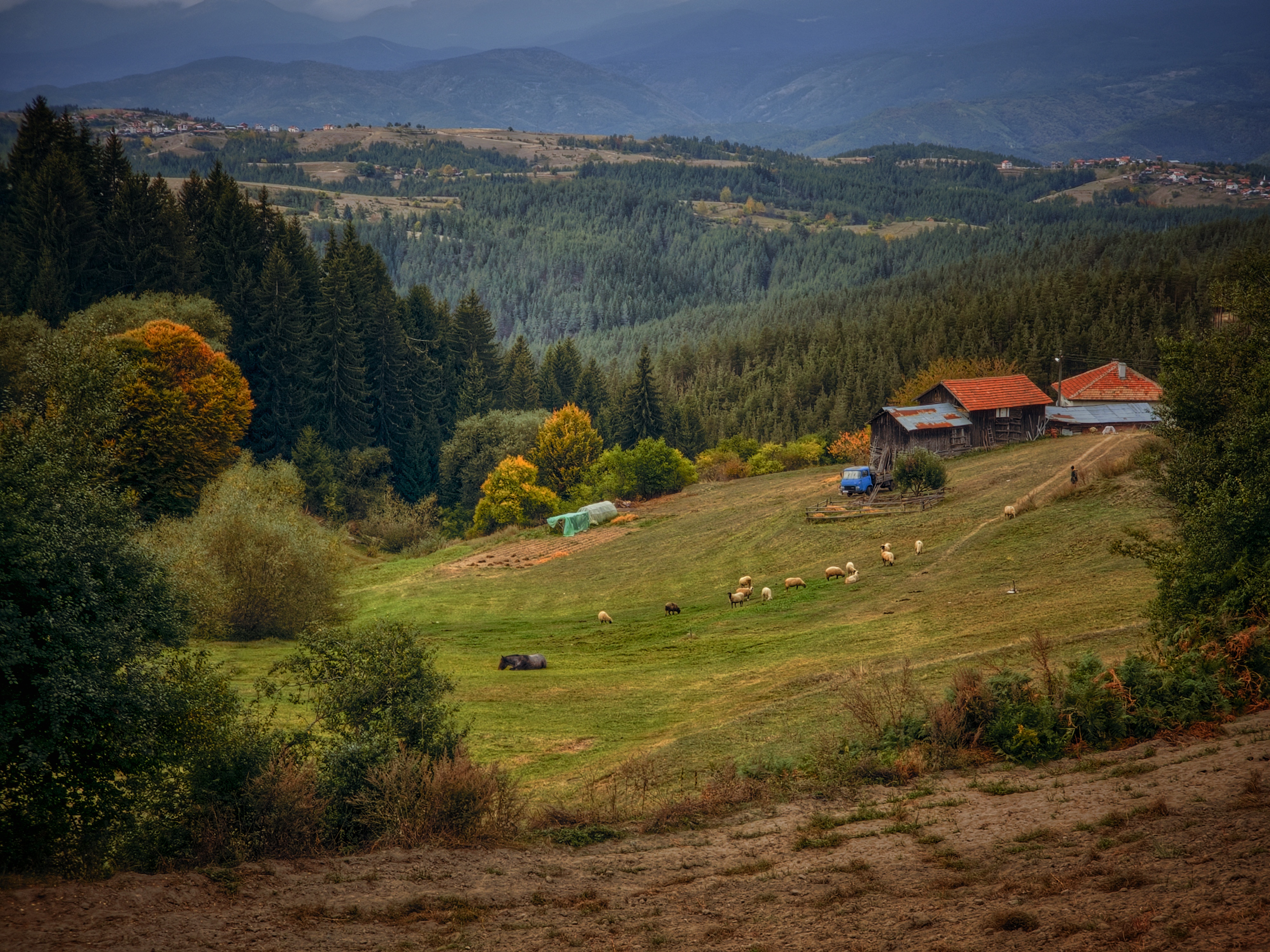 #Bulgaria #sheep# autumn# house # forest# horse, Герчев Николай