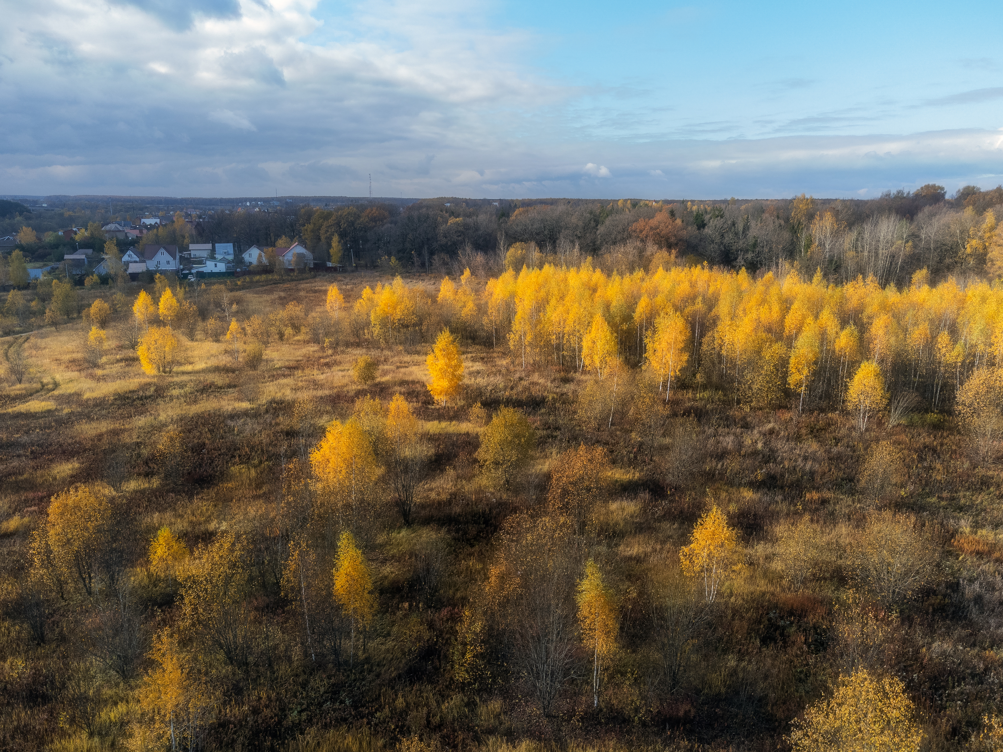 природа, осень, золотая осень, Московская область, Мартыненко Дмитрий