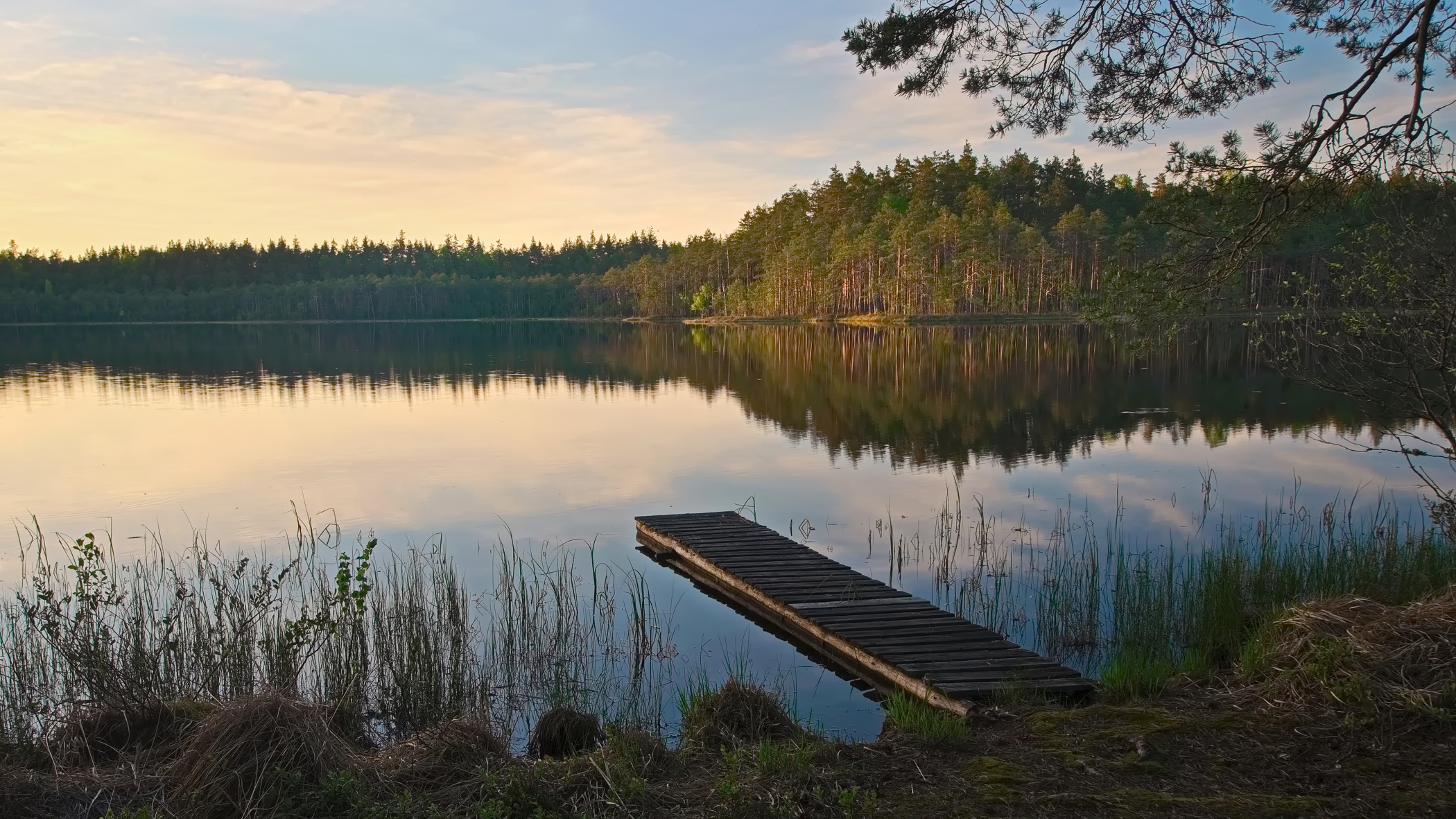 витебская, область, лесное озеро, вечерняя зорька, ведренец, Виктор Гурков