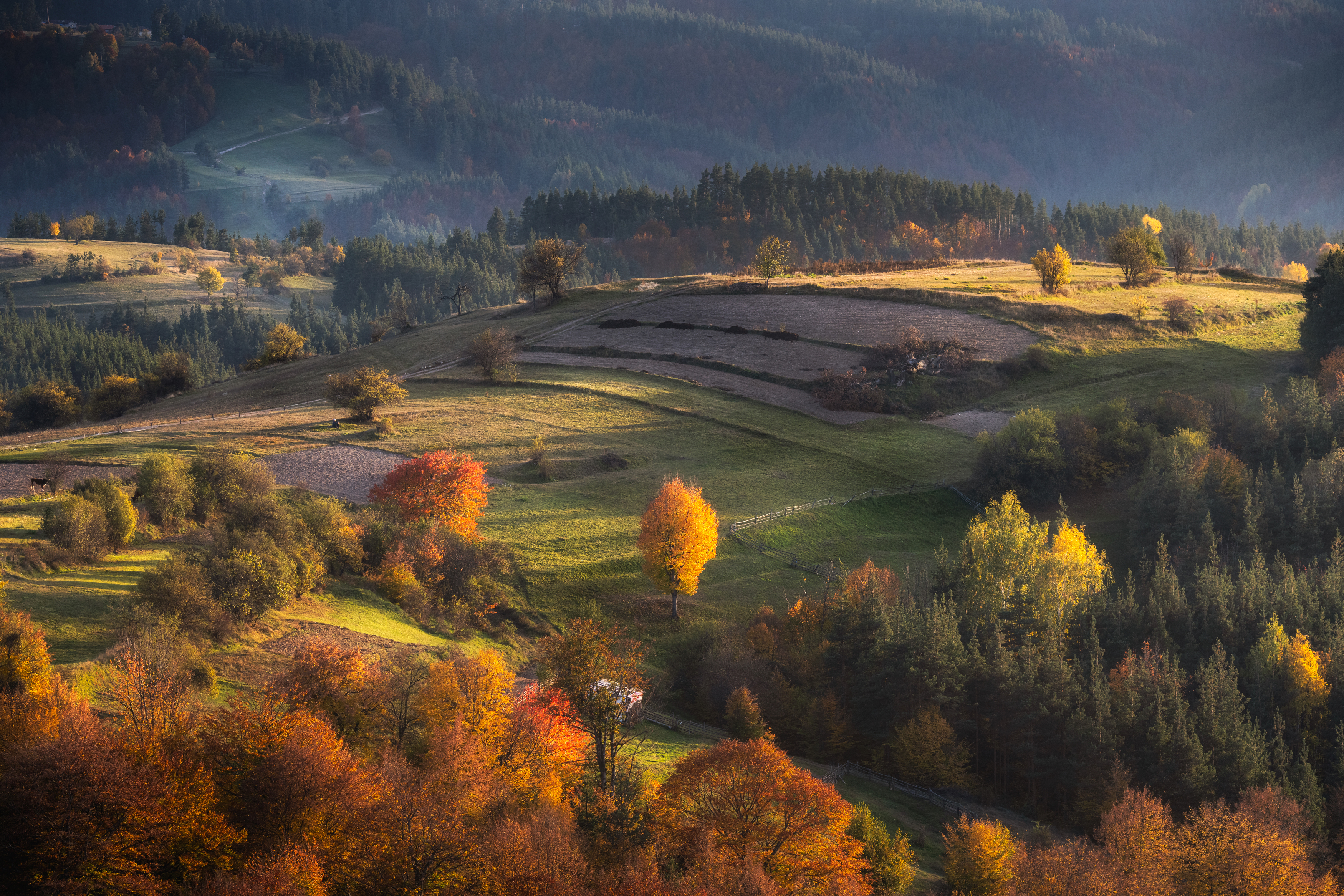 autumn, colours, Boyko Valchev