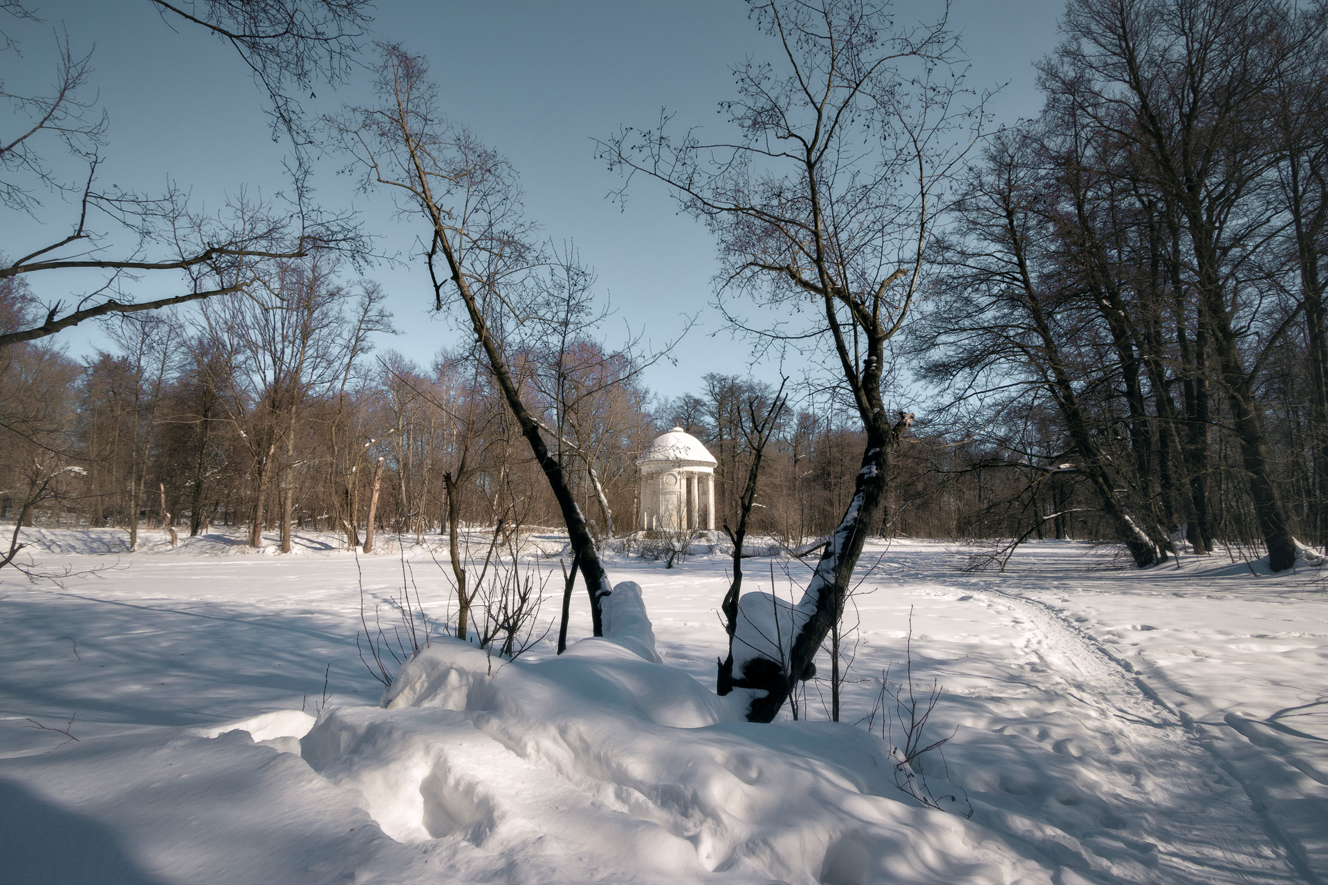 ротонда, парк, деревья, зима, Валерий Вождаев