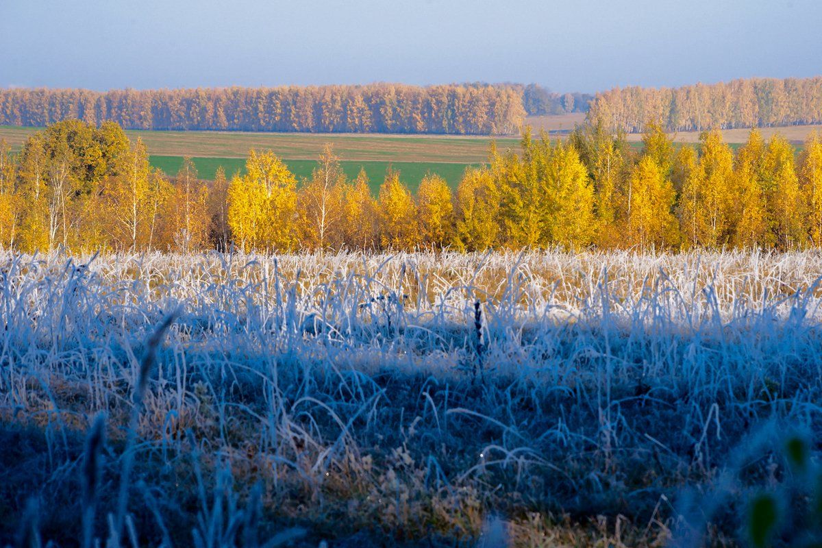 зима, золотая осень, иней, лес, поле, Валерий Пешков