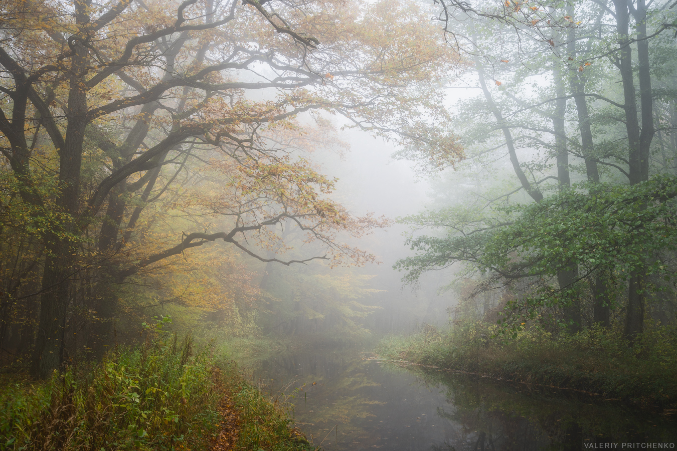природа, пейзаж, осень, туман, mist, fog, landscape, nature, autumn, morning, Валерий Притченко