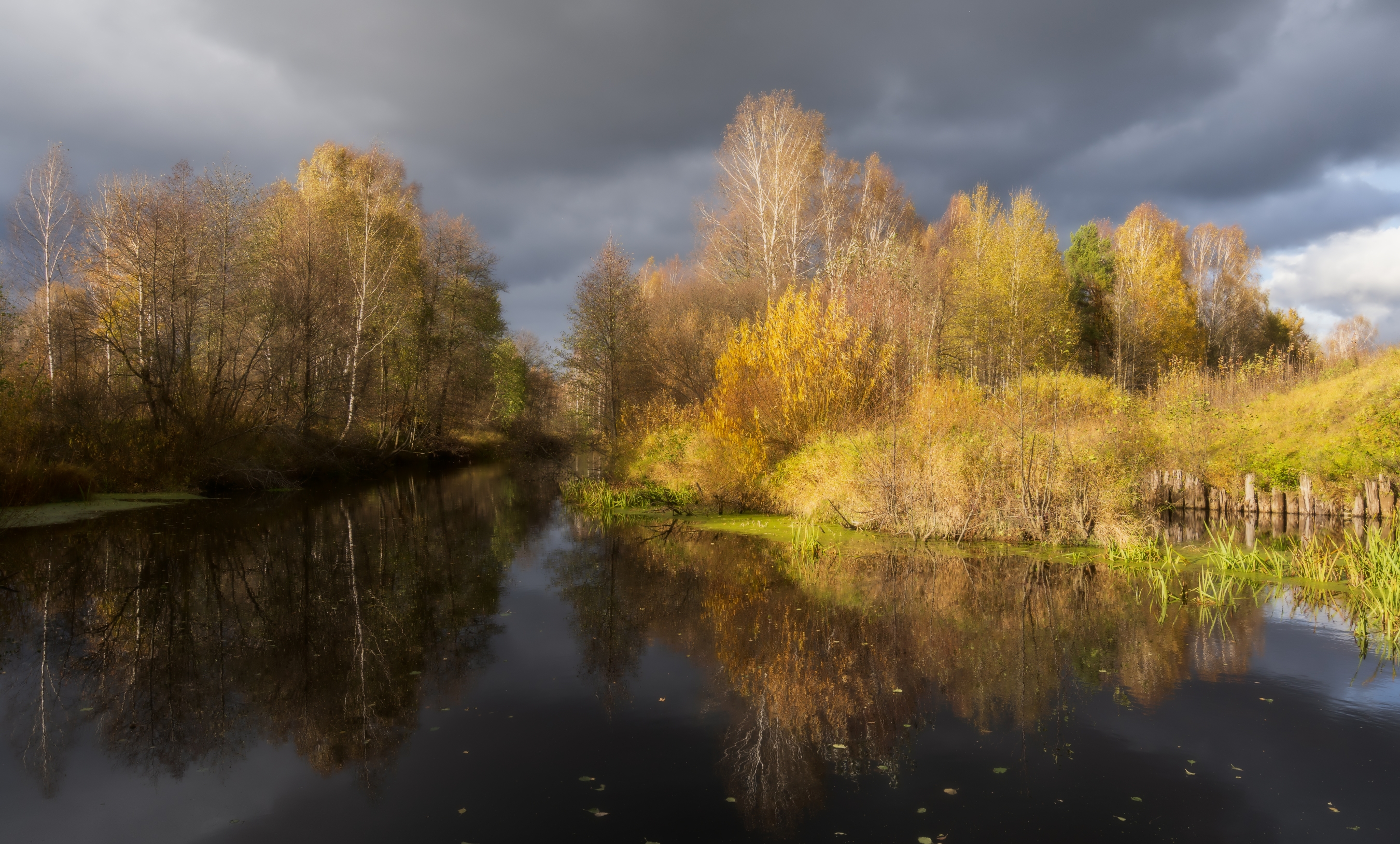осень река небо деревья, Колесов Андрей
