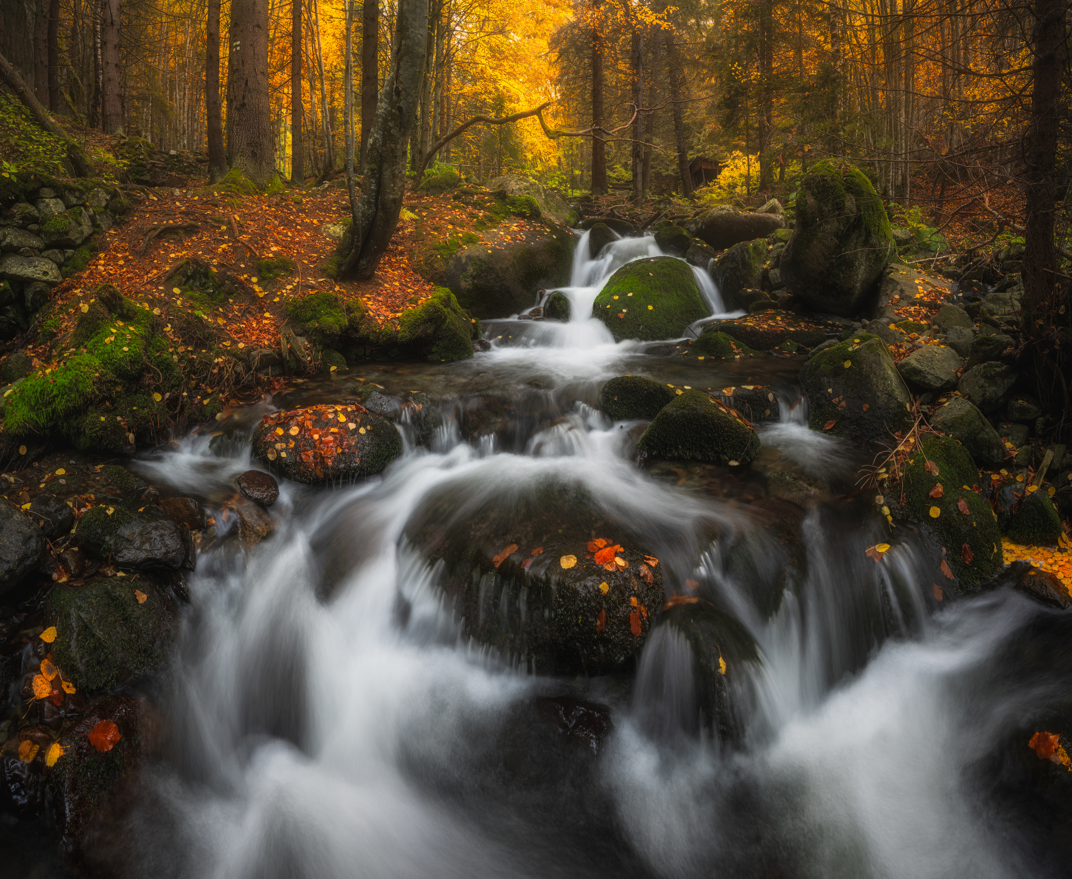 water waterfall autumn , Boyko Valchev