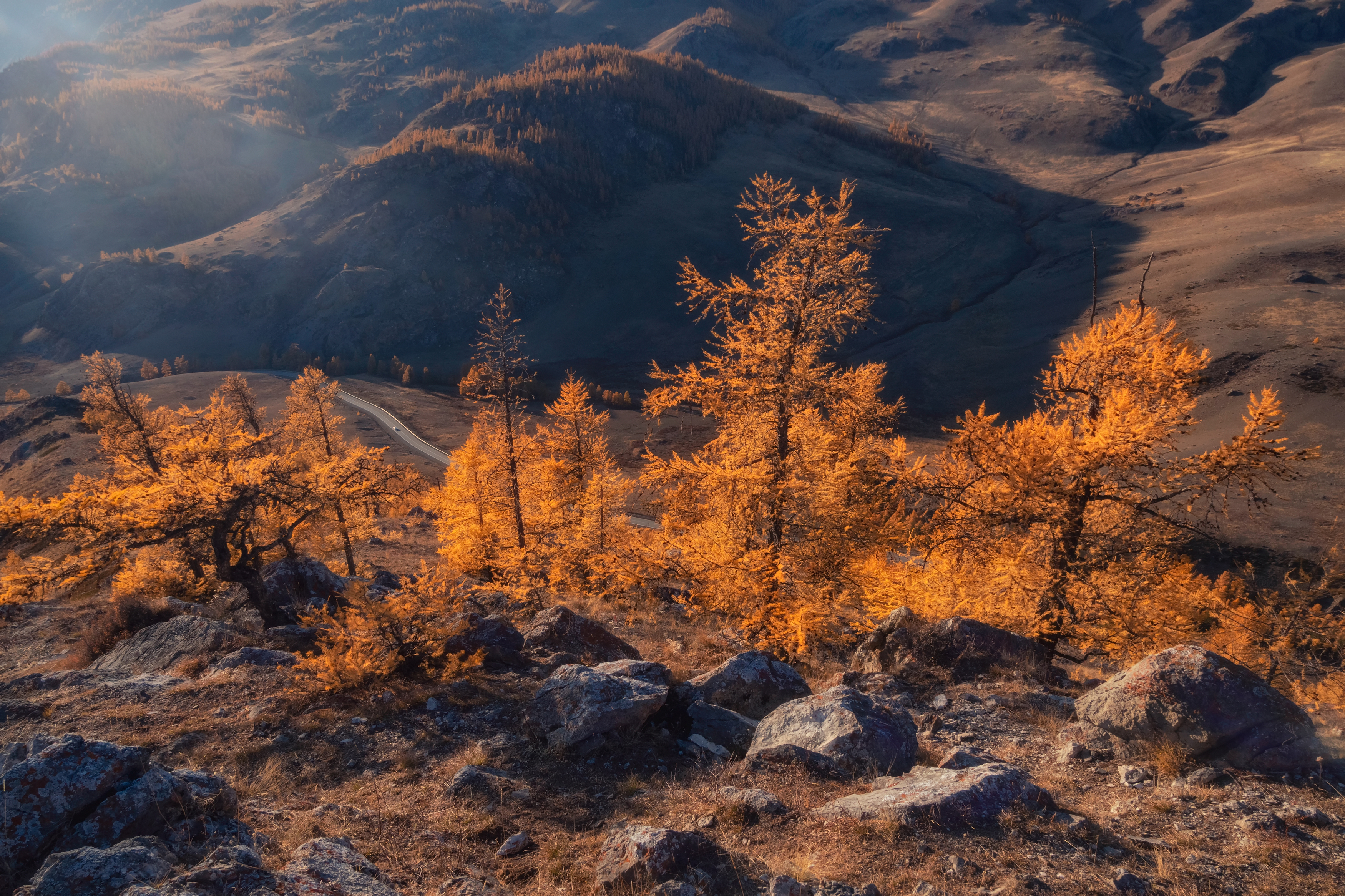 осень алтай лиственницы закат путешествия горы треккинг, Саблин Станислав
