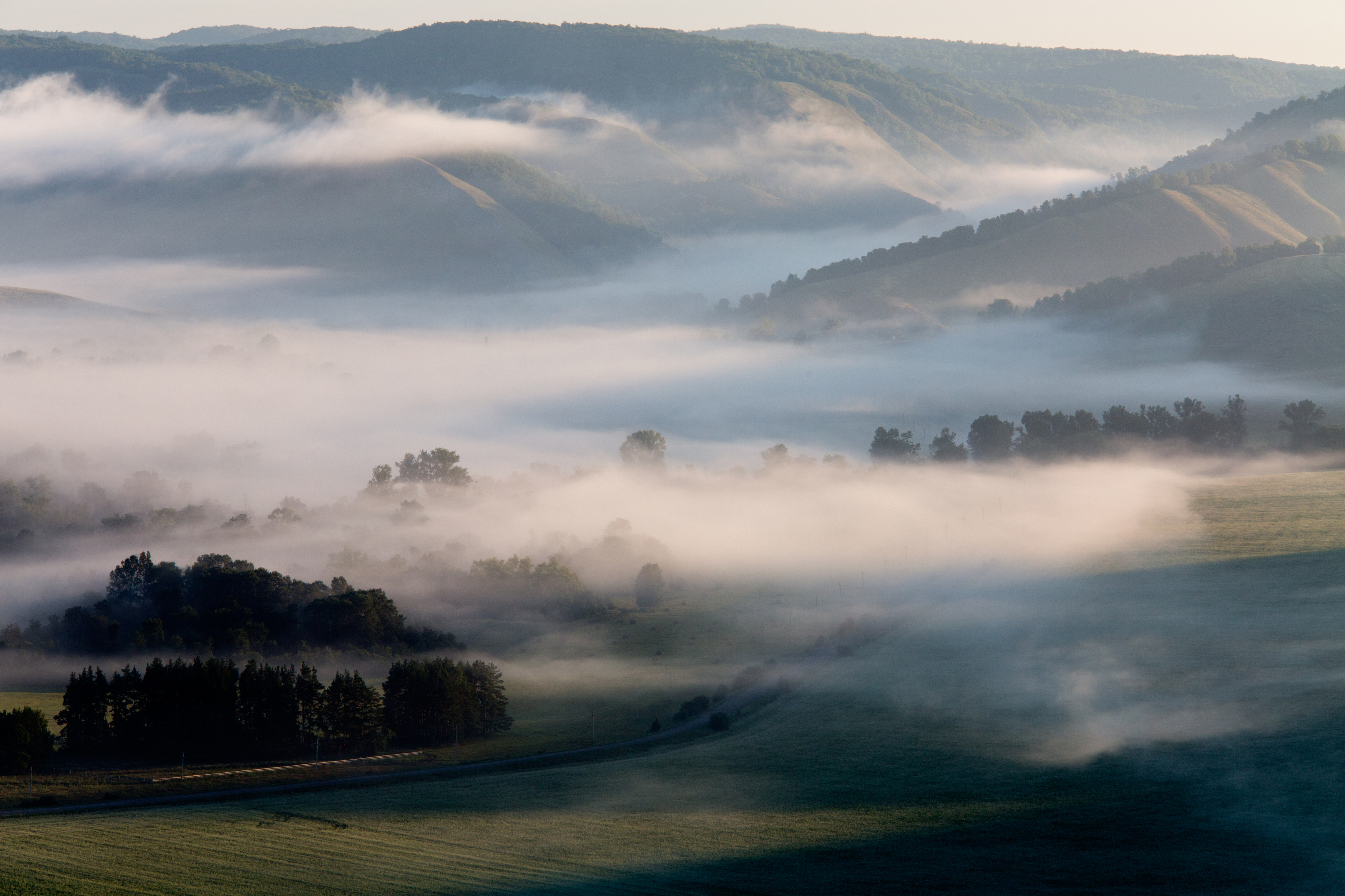 fog,landscape,morning, туман,утро,пейзаж,, Грачёв Олег