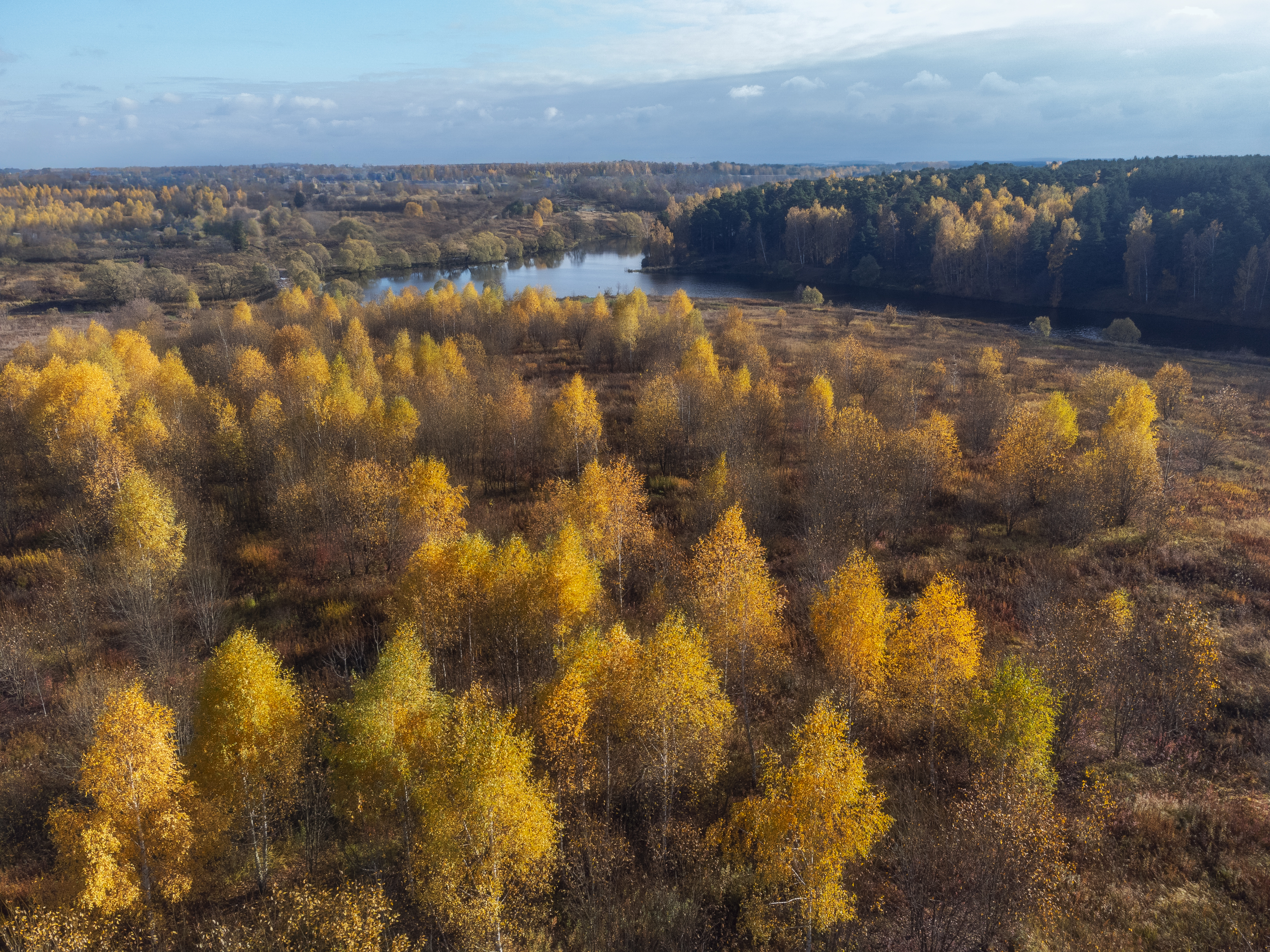 пейзаж, осень, пейзаж, золотая осень, Московская область, Мартыненко Дмитрий