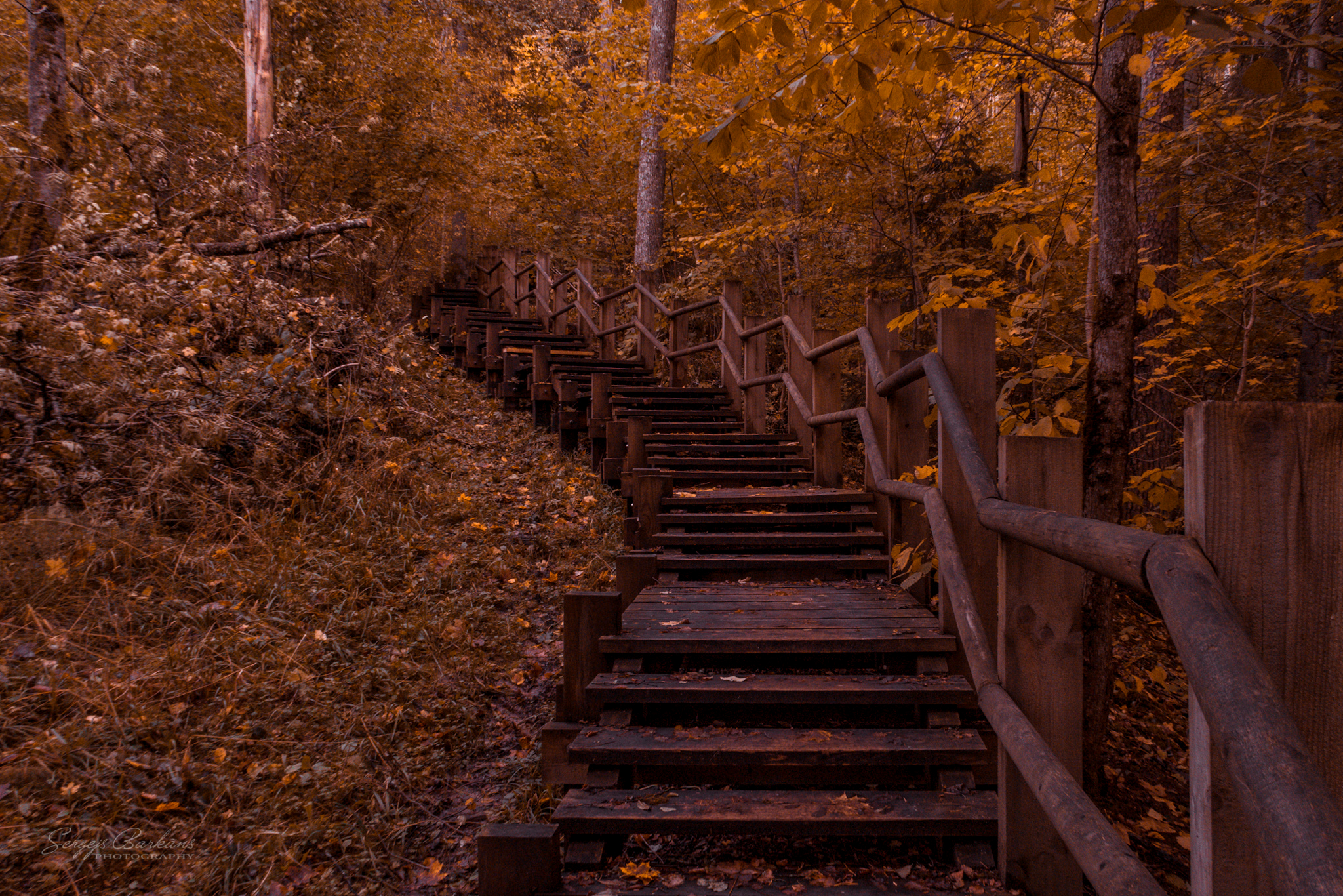 #latvia, #autumn, #fall, #forest, #sigulda, #europe, #stairs, #nature, Sergejs Barkans