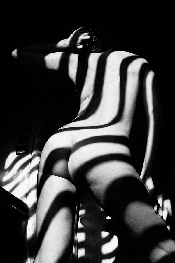 art nude, fine art nude, bw nude photo, conceptual, minimalism nude, shadows nude, art shadows, zebra shadows nude, abstract nude,, zebra, Mikhail Faletkin