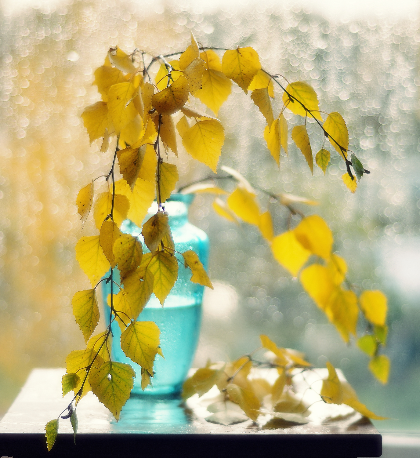 натюрморт,осень,листья, Наталия К