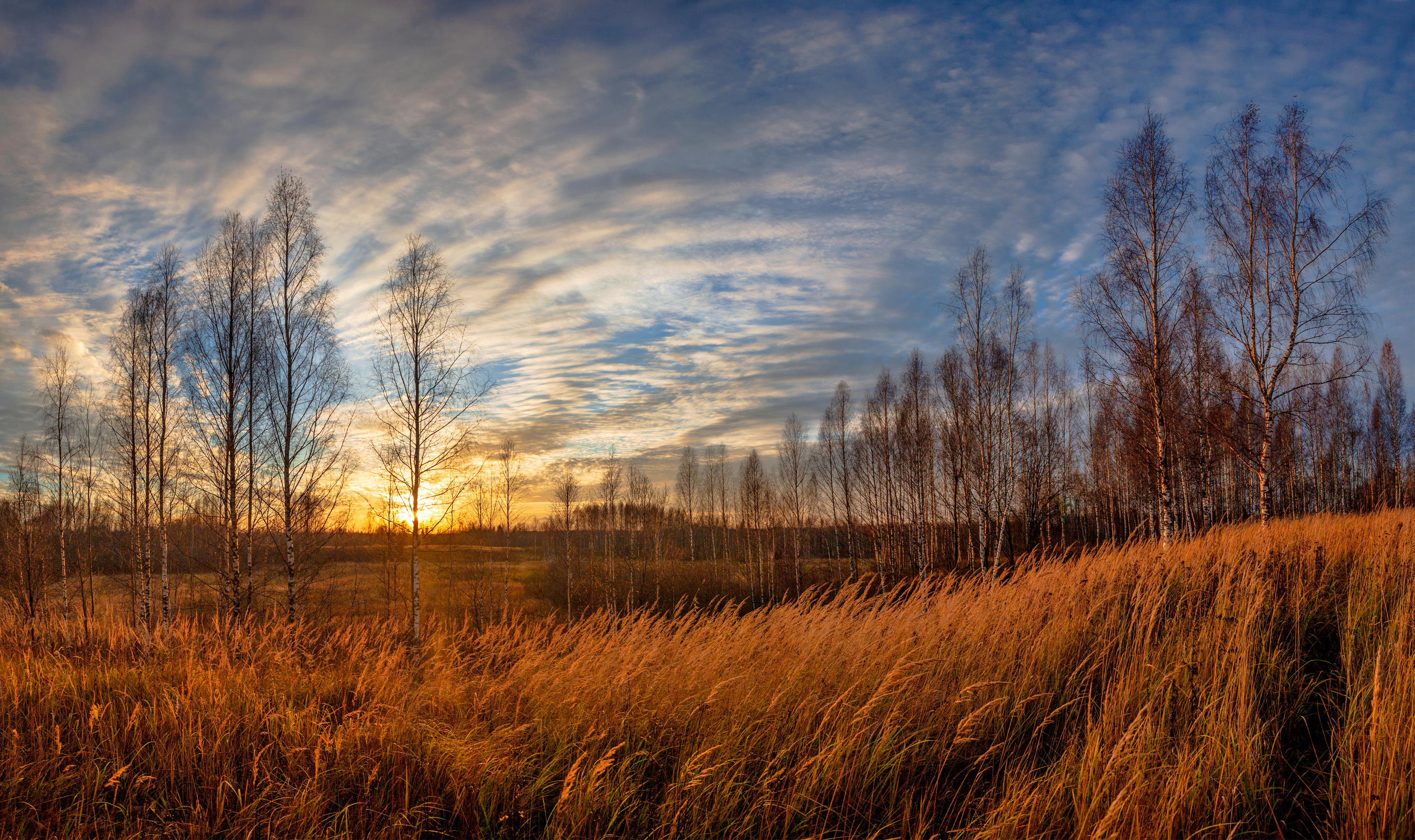 закат,осень, поле, лес, Александр Свистков