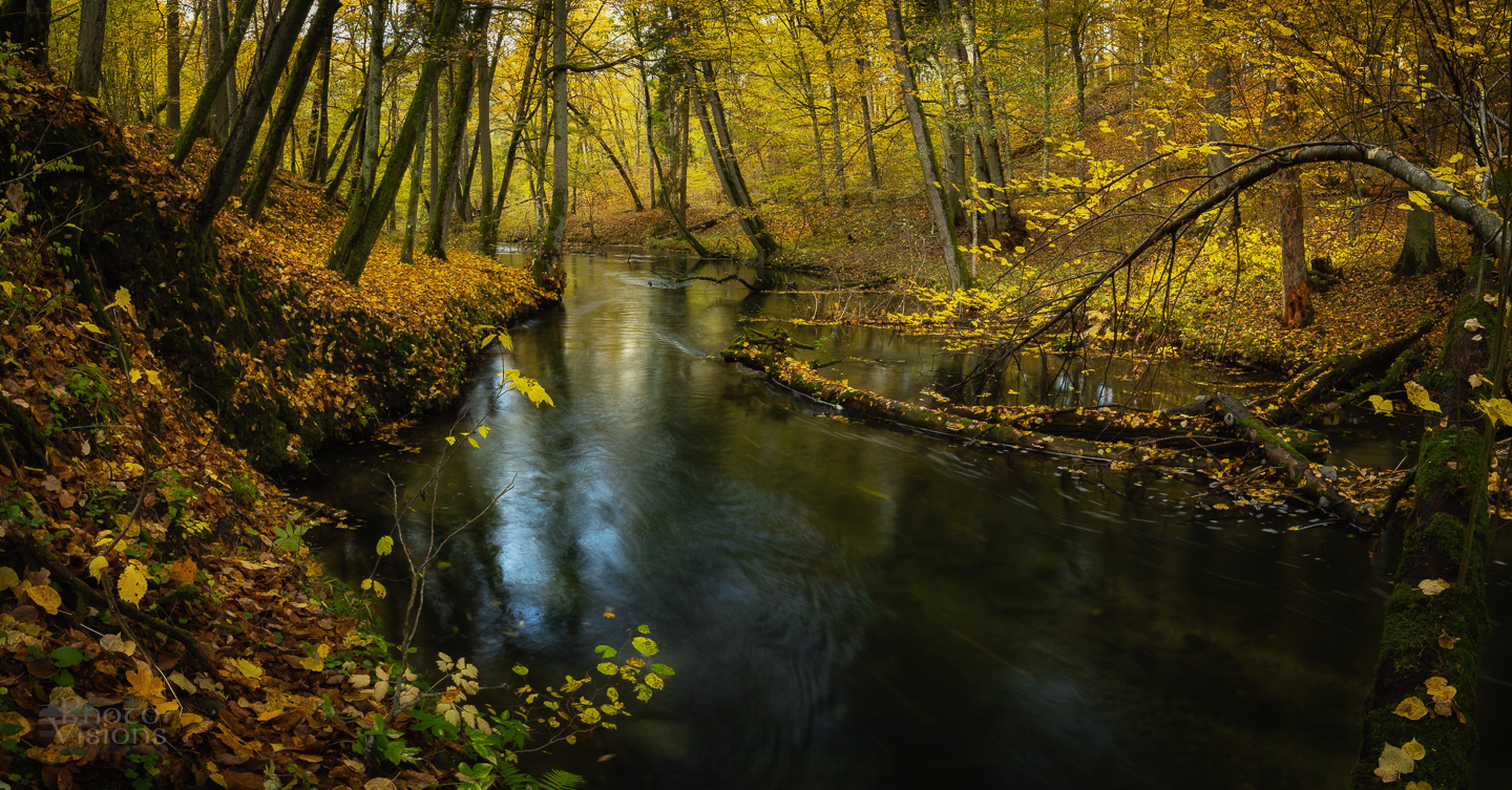 river,autumn,autumnal,water,forest,trees,long exposure,nature,landscape,panorama,panoramic,, Photo Visions