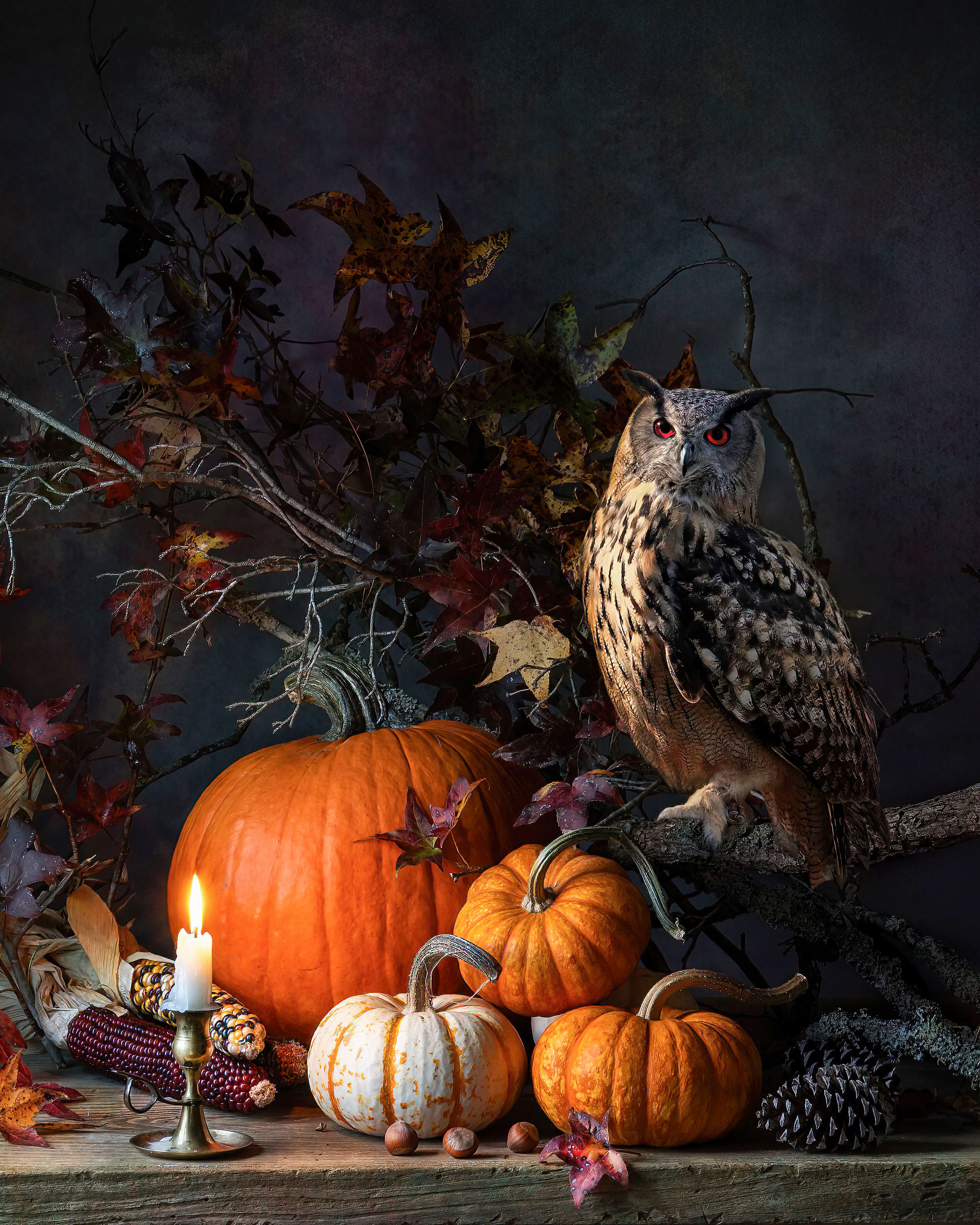 autumn, fall, owl, halloween,still life, pumpkins, old masters, stll life photography, mysteriose, harvest, candlelight, Слуцкая Яна