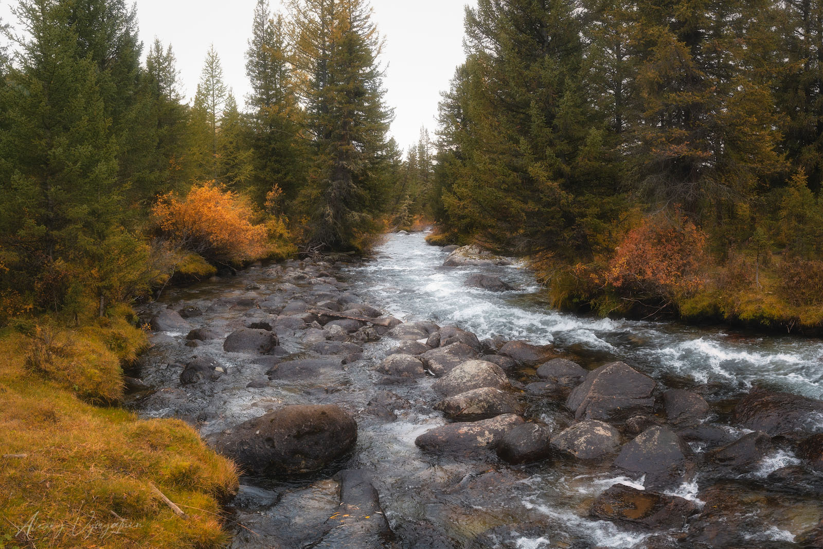 landscape, autumn, altay, river, green, yellow, outdoor, Алексей Вымятнин