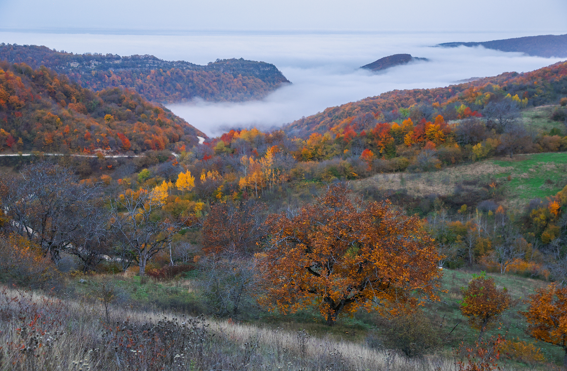 осень,пейзаж,горы,дагестан,кайтаг,, Magov Marat