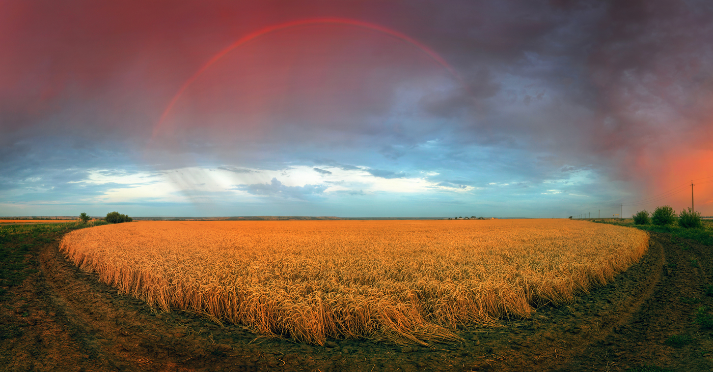 Ставрополье лето гроза радуга пейзаж панорама поле , Александр Бархатов