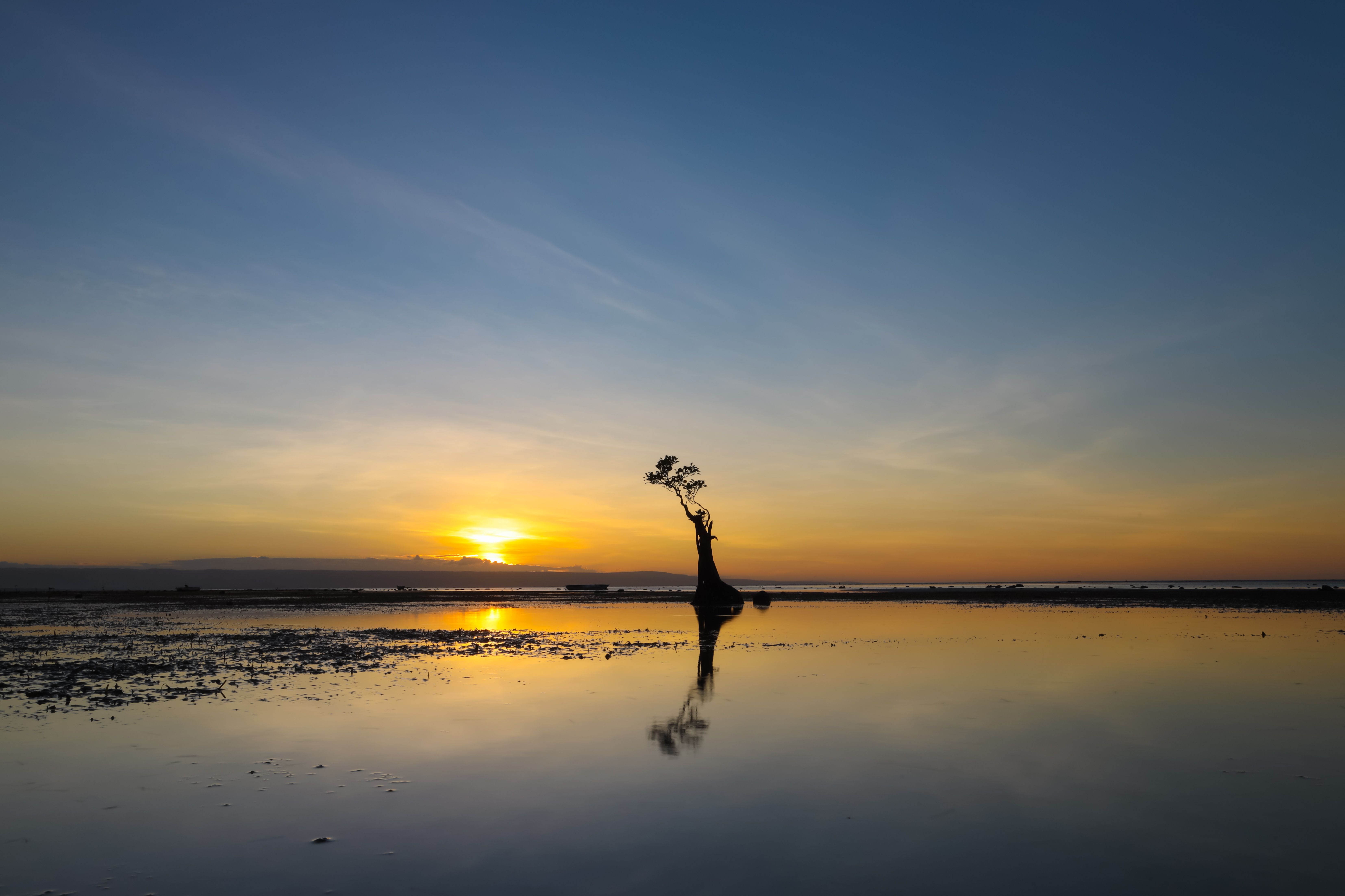 #walakiribeach #sumbaisland #sumba #mangrove #sunset #alone , santoso budoyo