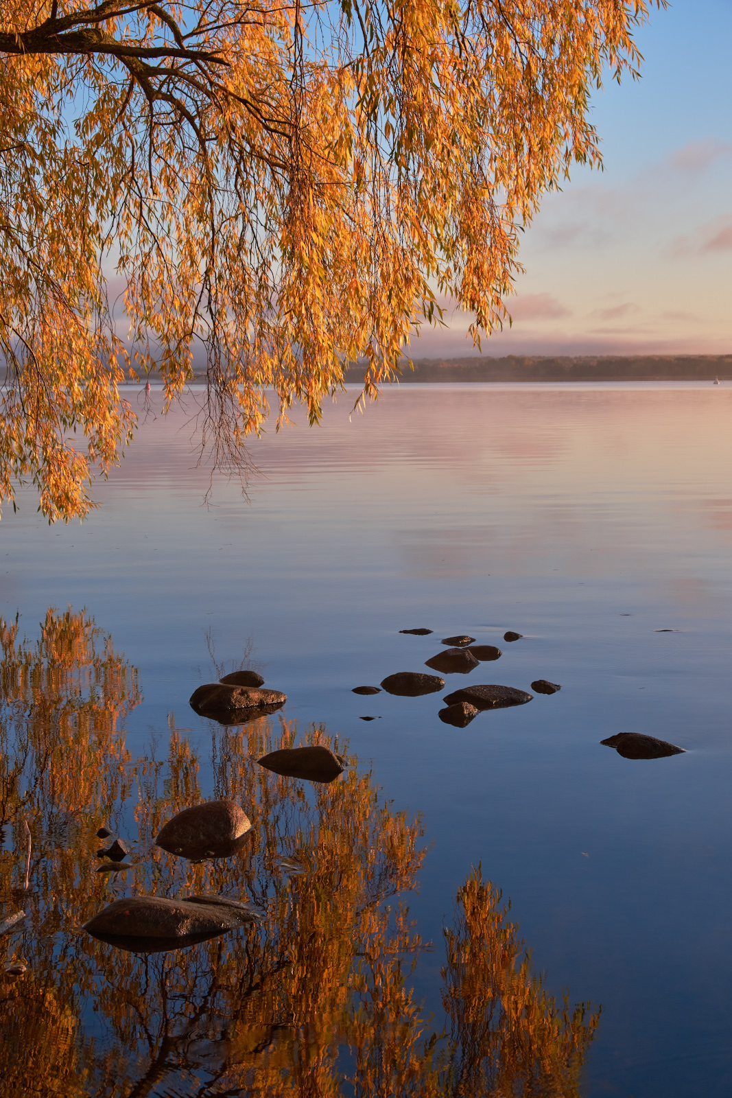 селигер,озеро,осень,золотая осень,пейзаж,утро,рассвет,камни, Горшков Игорь