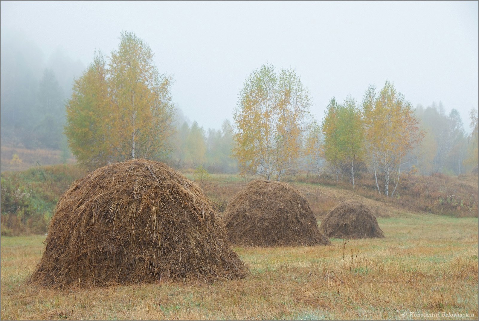константин белошапкин, стога, туман, уймонская степь, утро, Константин Белошапкин