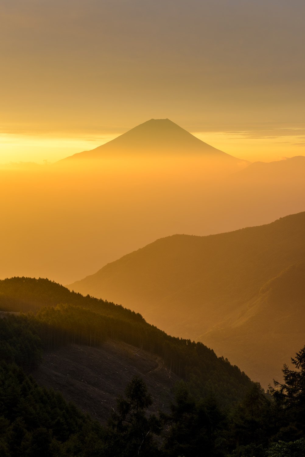 fuji,mountain,japan,cloud,mist,haze,gold,flash,morning, sunshine,sunrise,yellow,, Takashi
