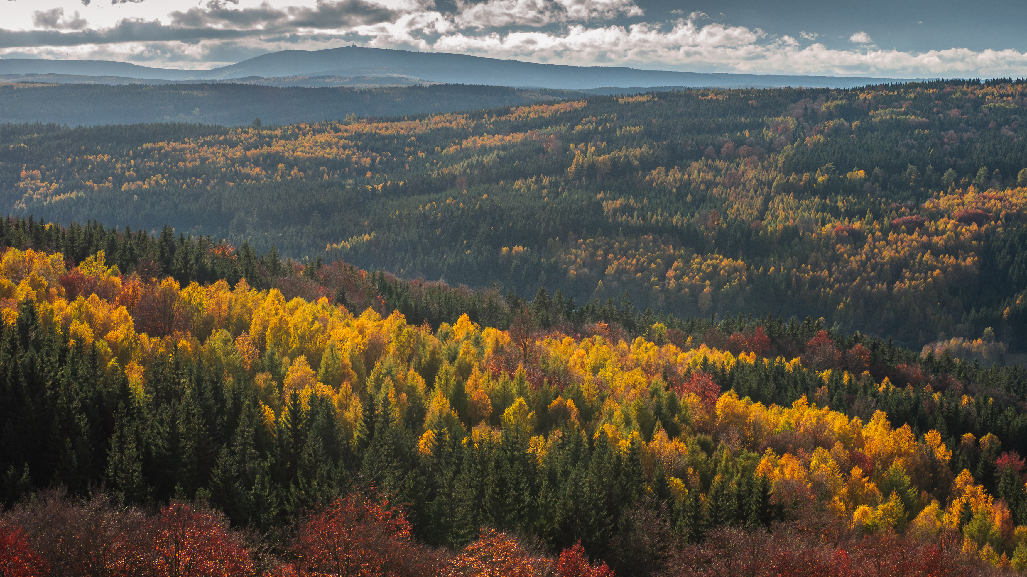 autumn,fall,forest,leaves,sky,colours,czechia,czech, Slavomír Gajdoš