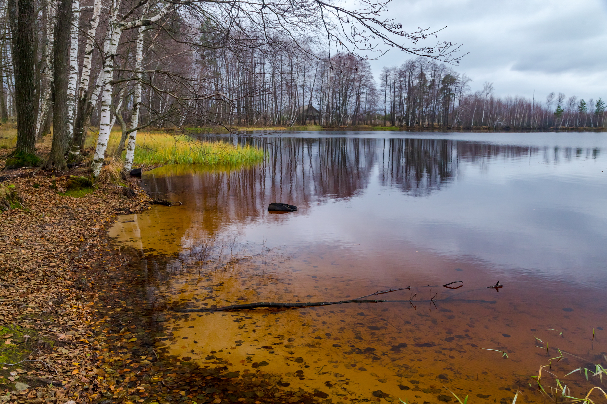 осень, озеро Уржинское, пасмурный день, пейзаж, Юрий Морозов