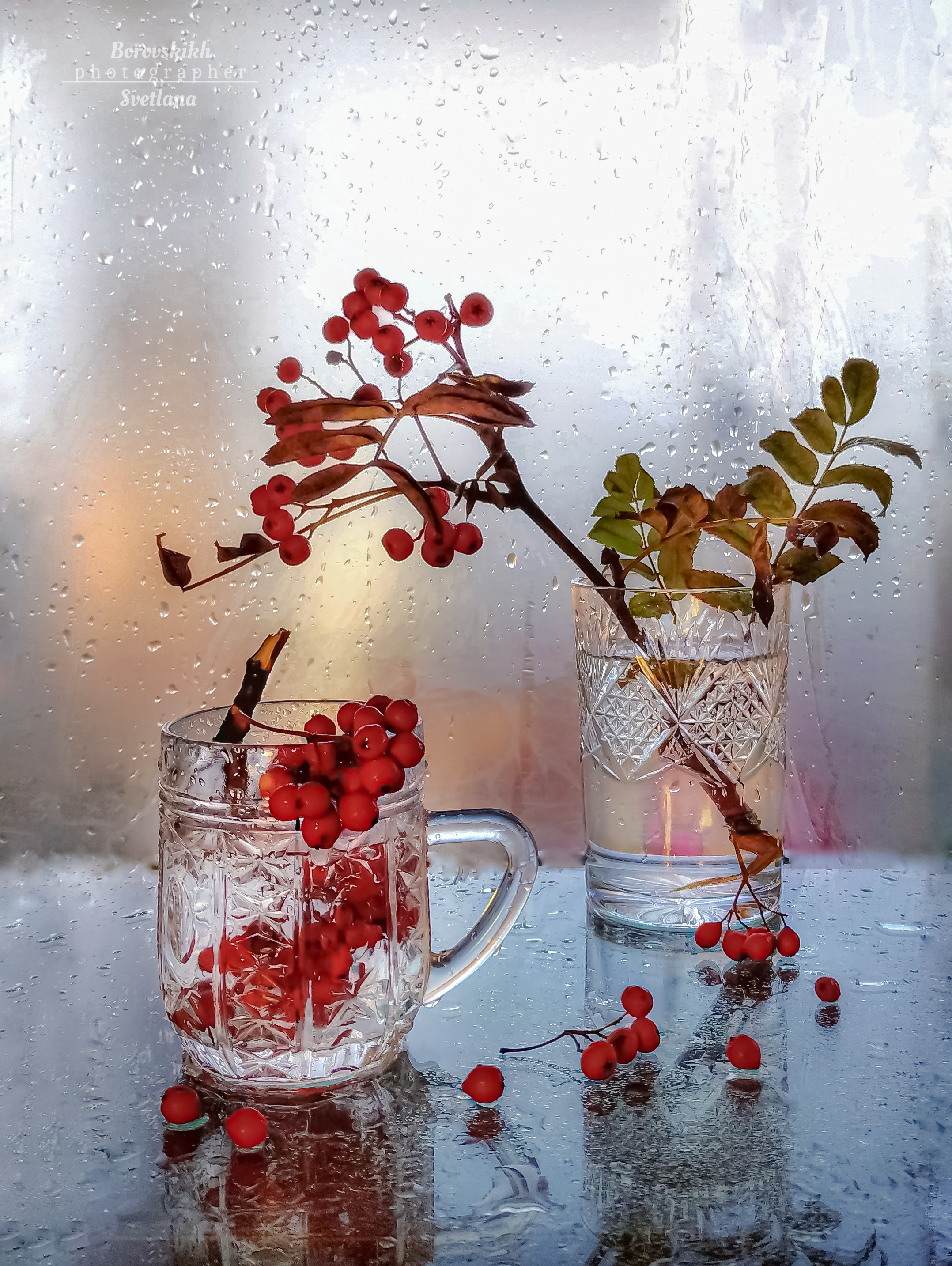 натюрморт, осень, ягода, рябина, полиэтилен, фото на окне, стекло, фото на телефон, закат, Светлана Боровских