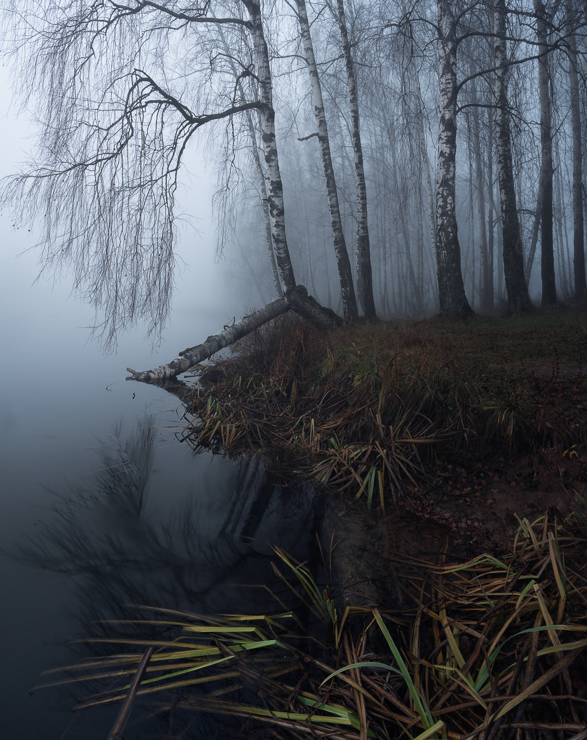 туман, свет, утро, природа, Баранов Олег