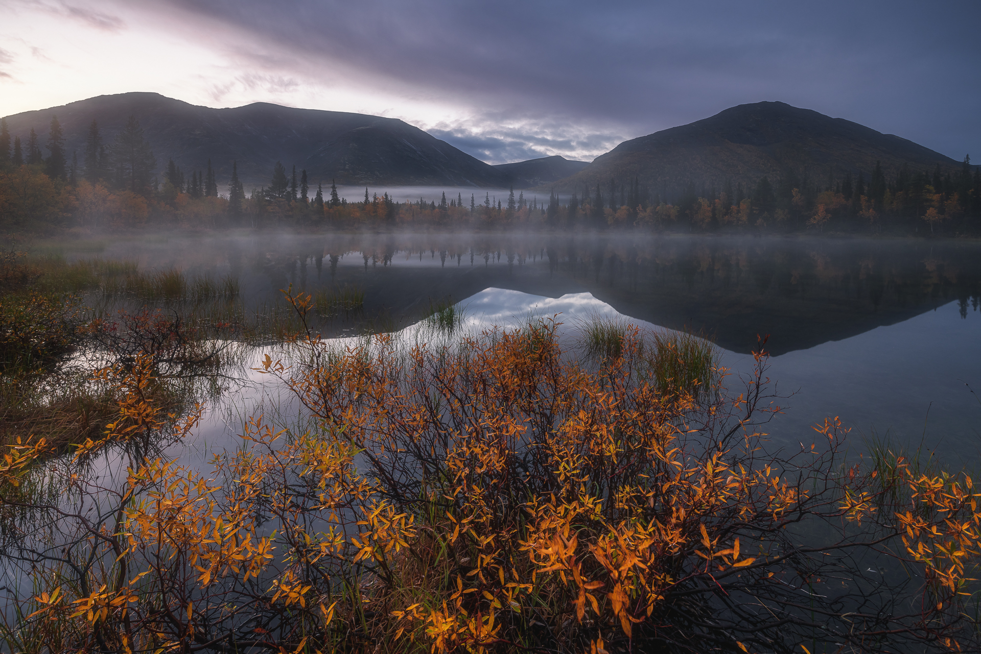 хибины озеро осень природа пейзаж россия кольский туман утро khibiny lake autumn nature landscape kola fog, Юхова Аня