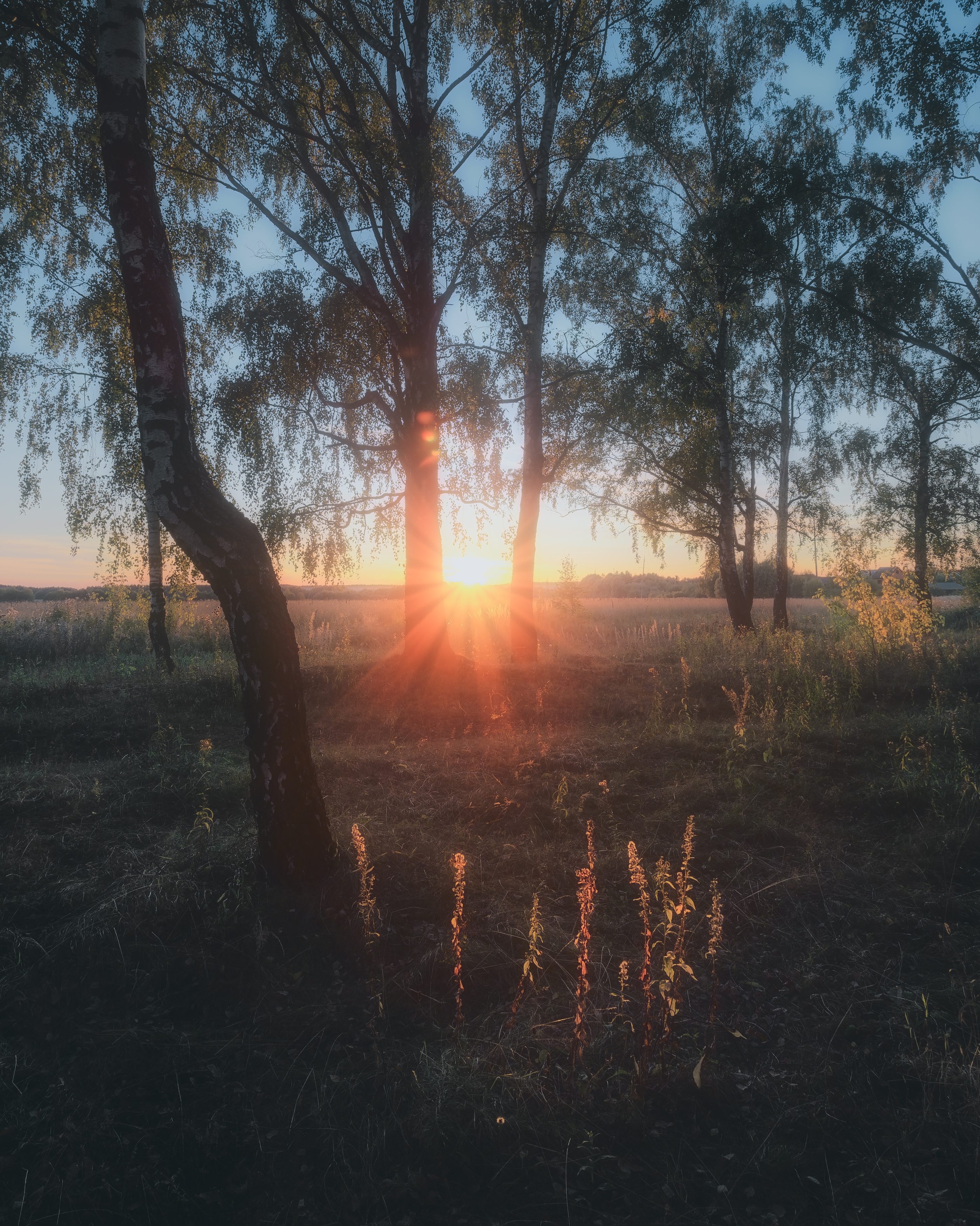 природа, пейзаж, закат, Московская область, осень, сумерки, Мартыненко Дмитрий