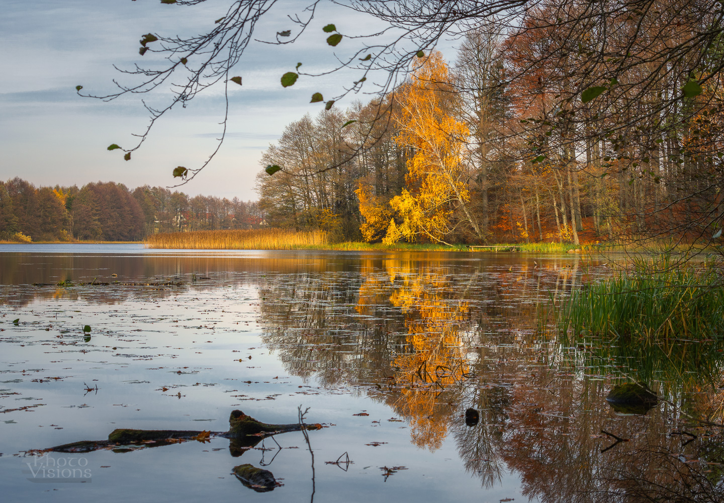 autumn,tree,trees,lake,reflection,shore,shoreline,forest,woods,woodland,landscape,, Photo Visions
