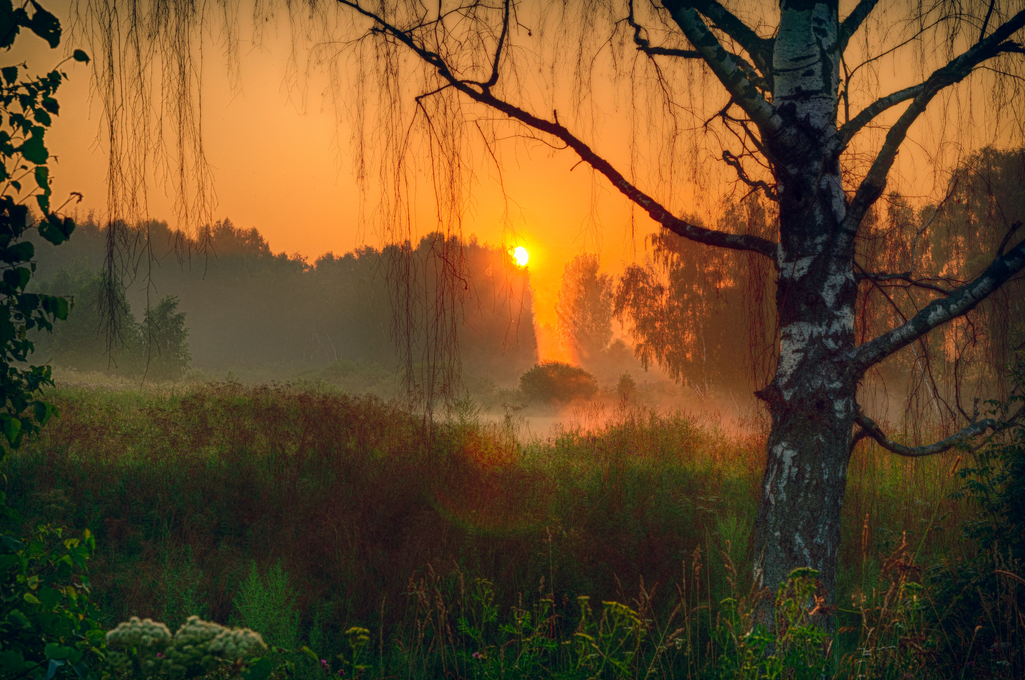 восход, рассвет, пейзаж, солнце, sunrise, dawn, landscape, nature, sun, Пётр Калачев