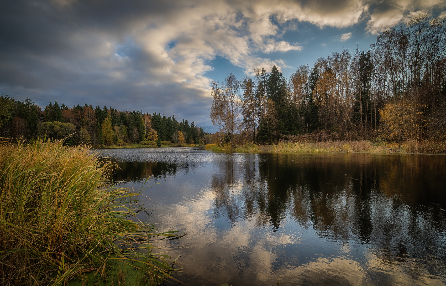 гавань, осень, река, лес, Сергей Аникин