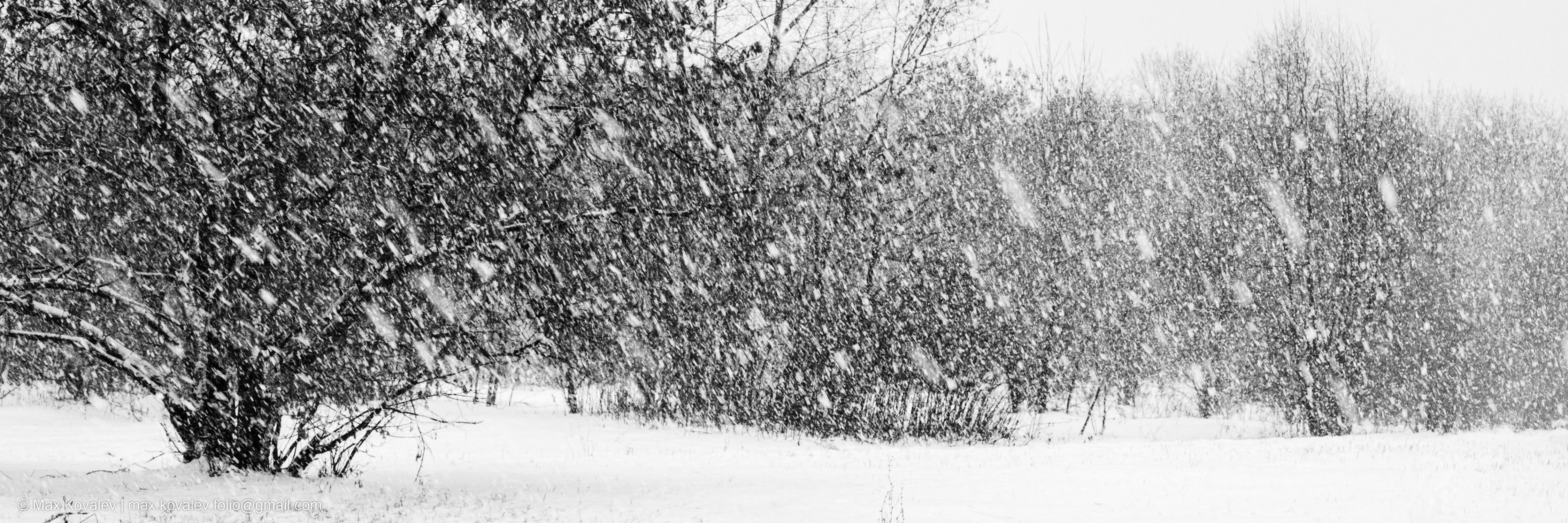 снег, снегопад, чёрно-белое, чб, ч/б, монохром, зима, природа, погода, Россия, weather, Russia, snow, snowfall, bw, monochrome, nature, Максим Ковалёв